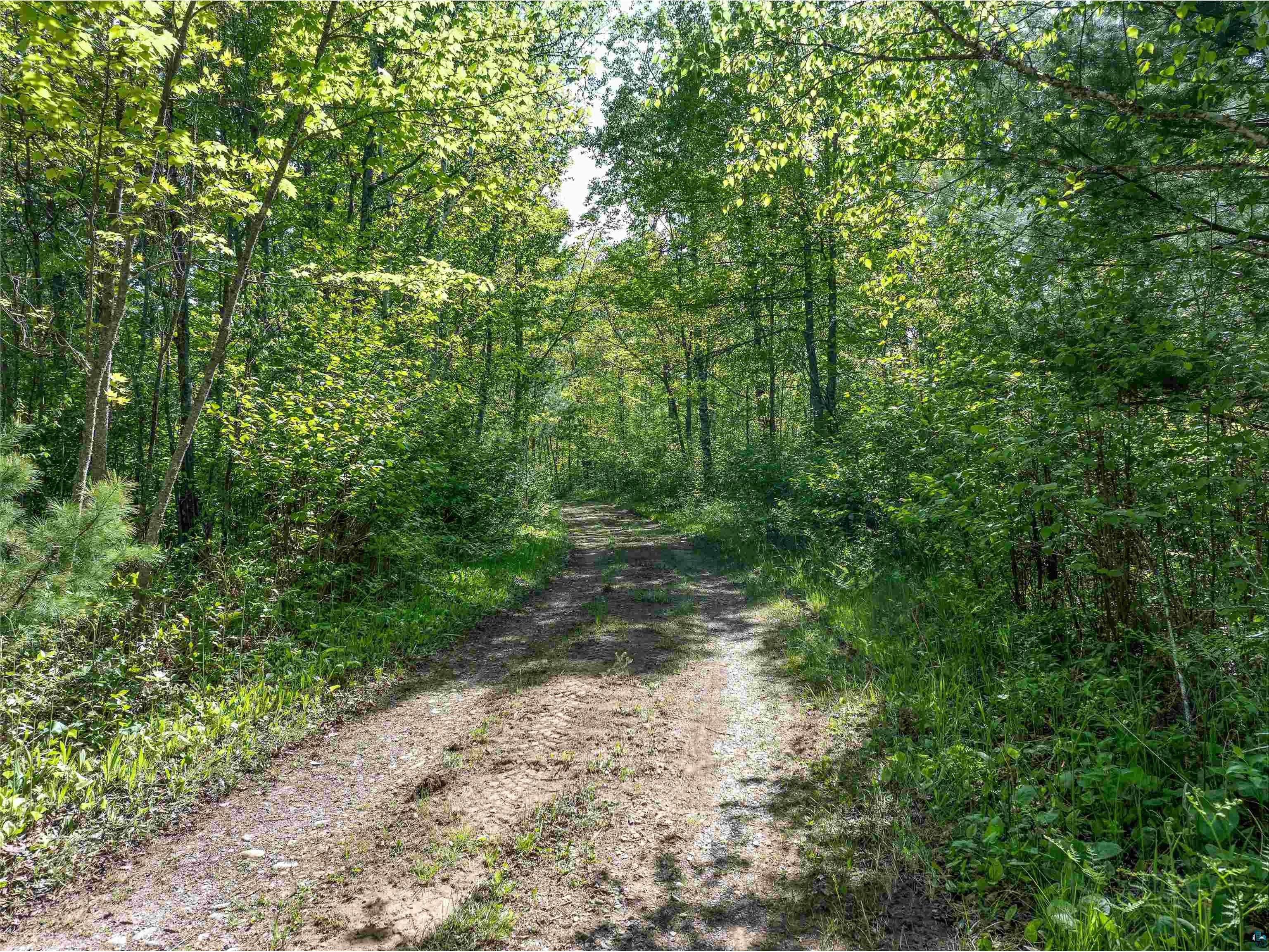 9064 Peppard Rd Britt MN 55710 - Arrowhead Lake 6125886 image27