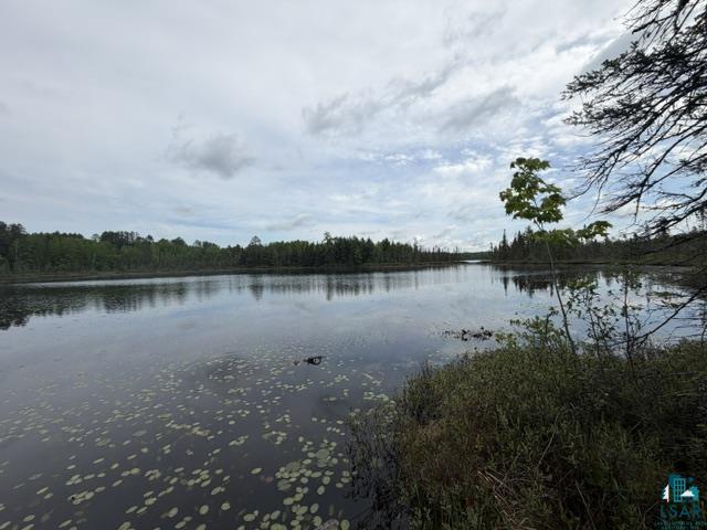 9064 Peppard Rd Britt MN 55710 - Arrowhead Lake 6125886 image3