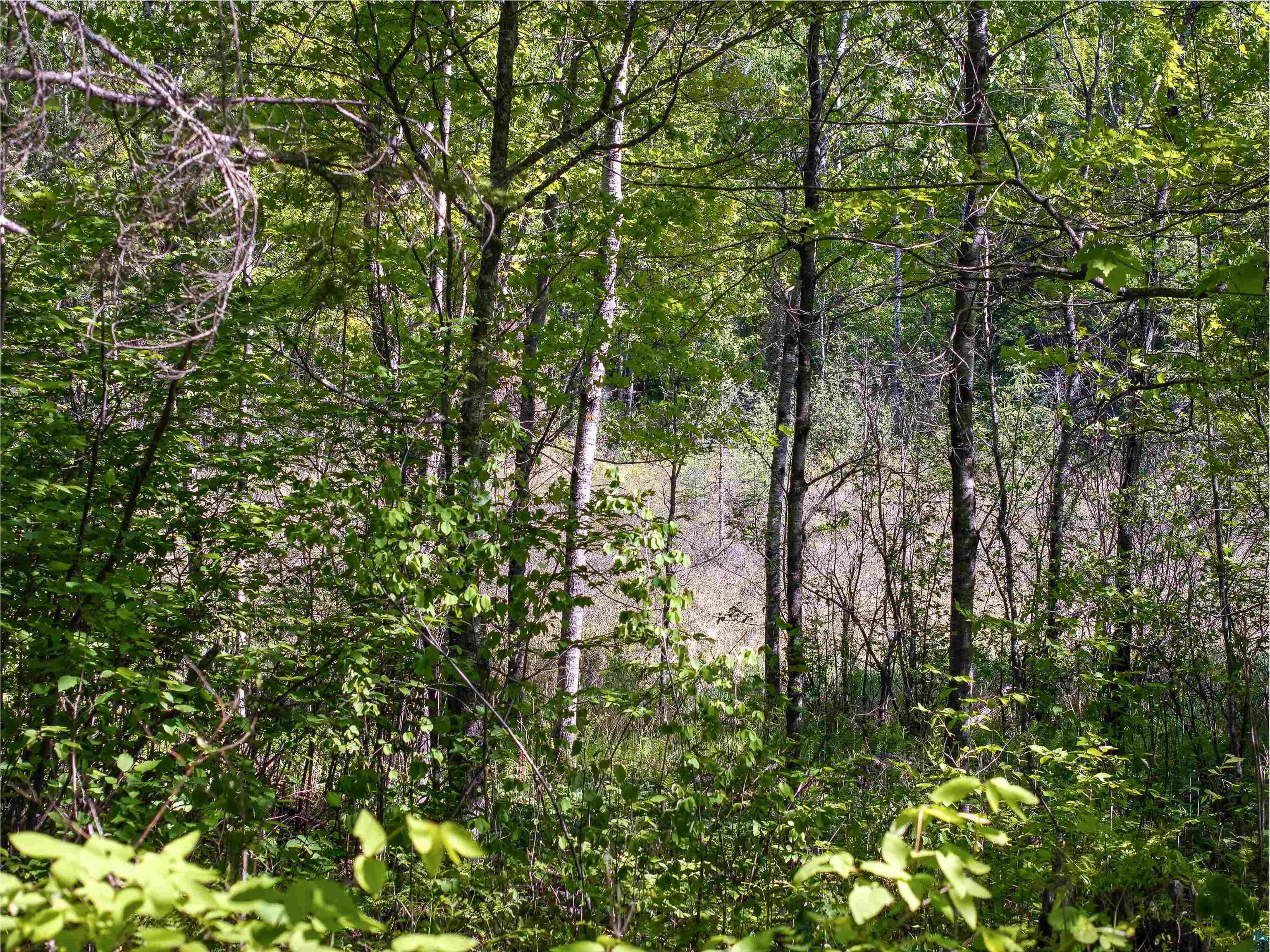 9064 Peppard Rd Britt MN 55710 - Arrowhead Lake 6125886 image30