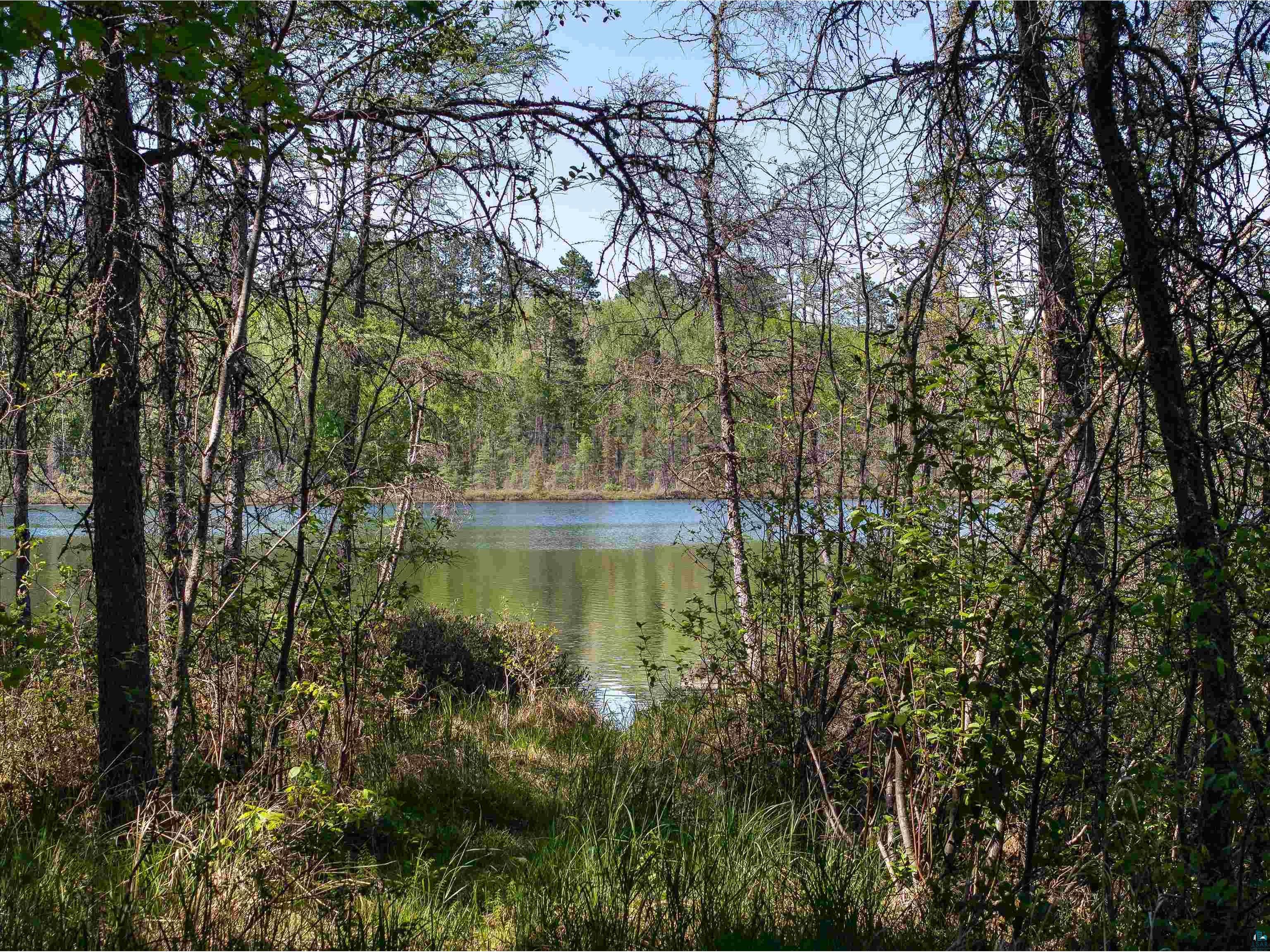 9064 Peppard Rd Britt MN 55710 - Arrowhead Lake 6125886 image32