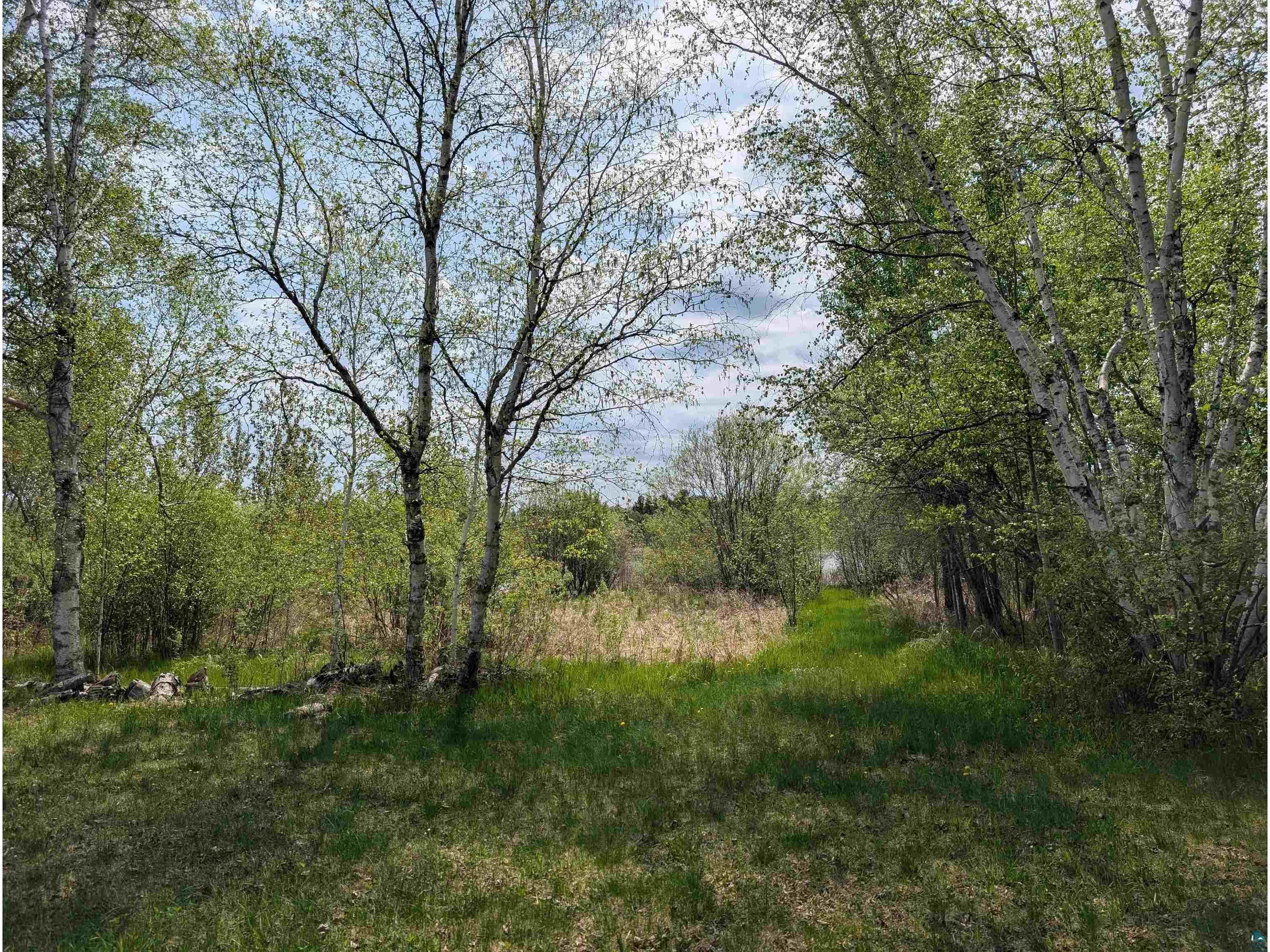 9086 Green Rd Hibbing MN 55746 - Floodwood 6125628 image29