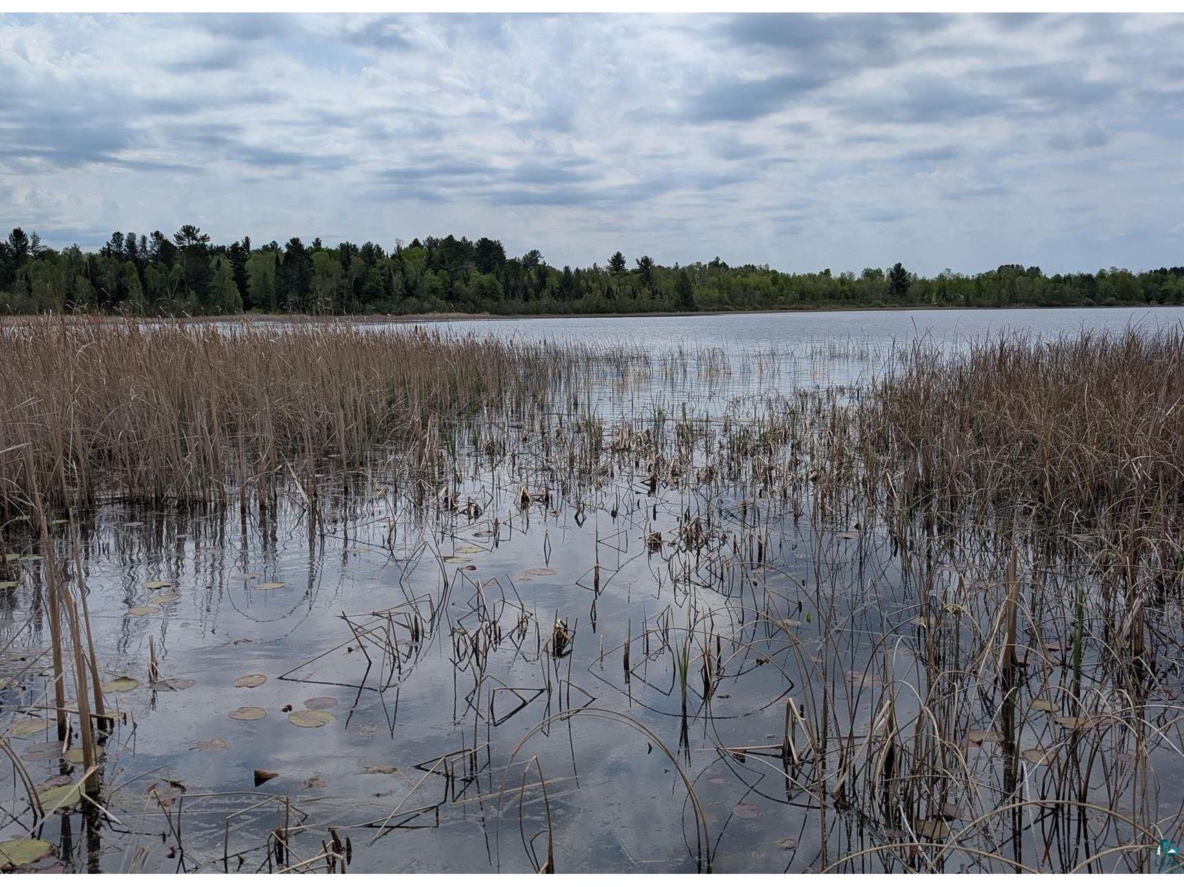 9086 Green Rd Hibbing MN 55746 - Floodwood 6125628 image6