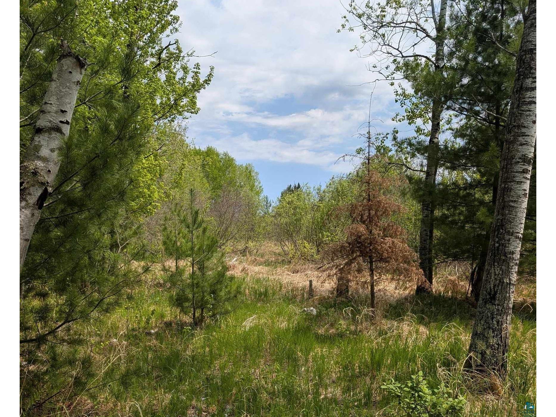 9086 Green Rd Hibbing MN 55746 - Floodwood 6125628 image8