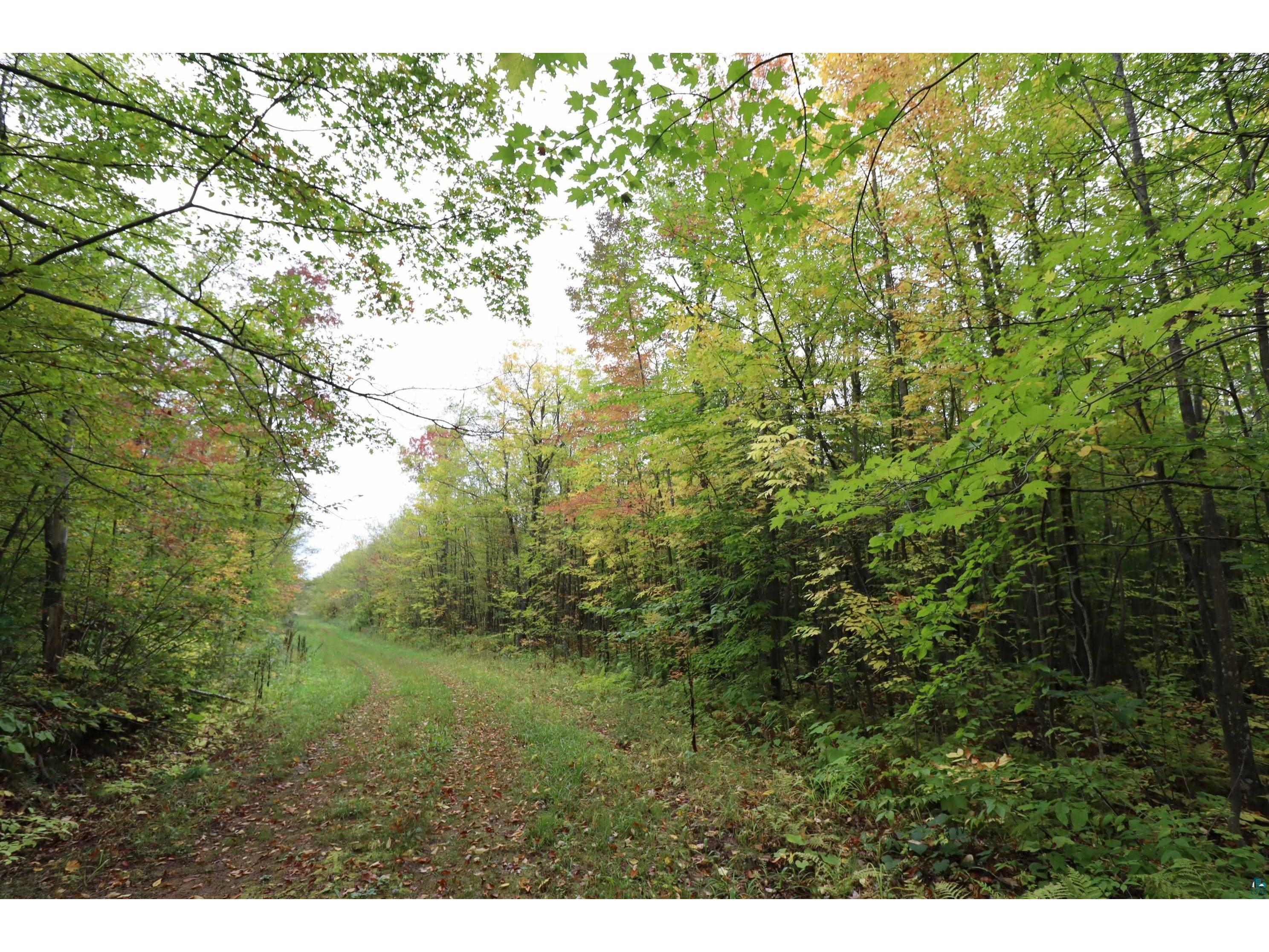 90XXX Holt Rd Bayfield WI 54814 6110801 image1