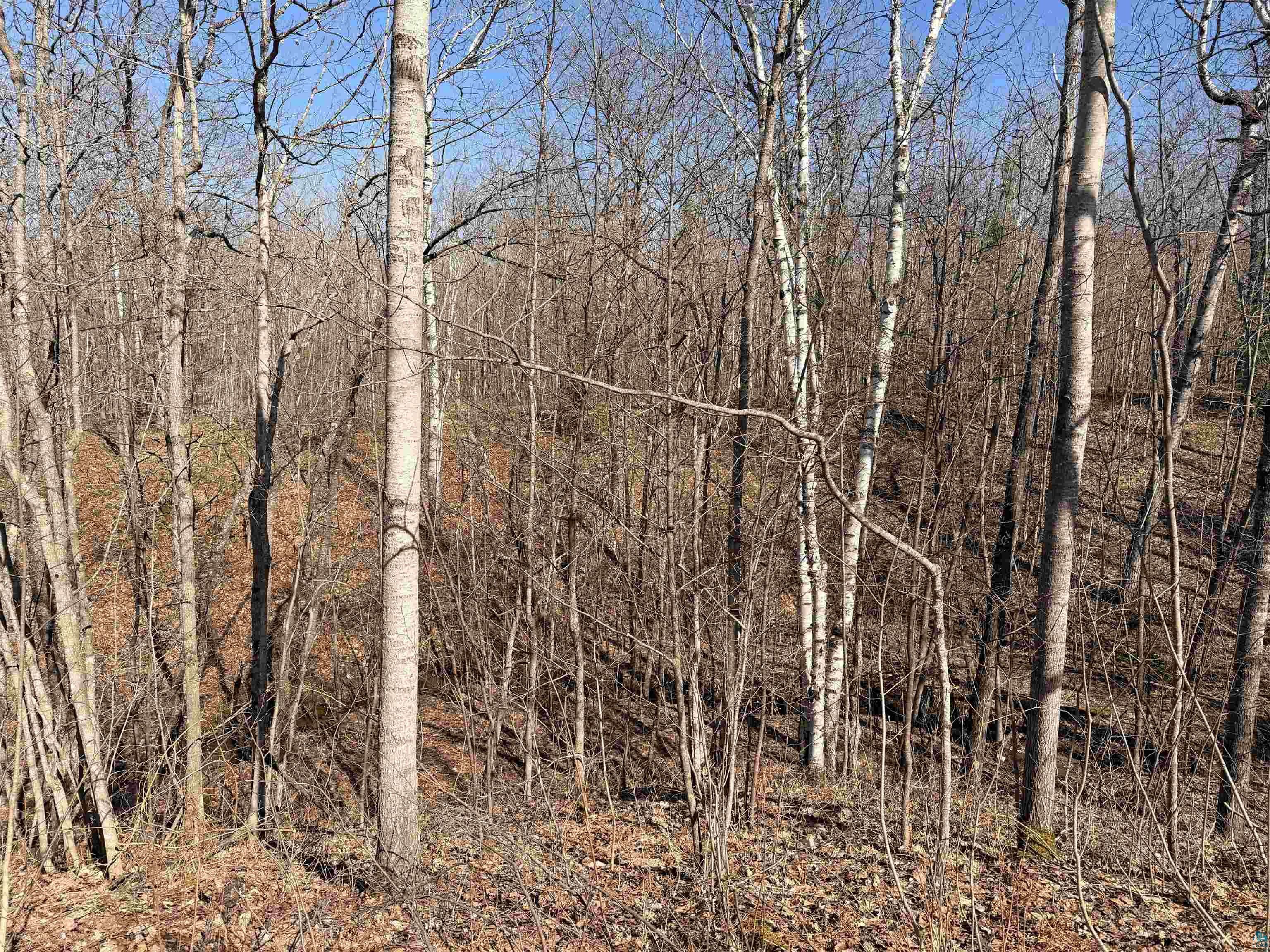 90XXX Lamont Rd Bayfield WI 54814 6125370 image6