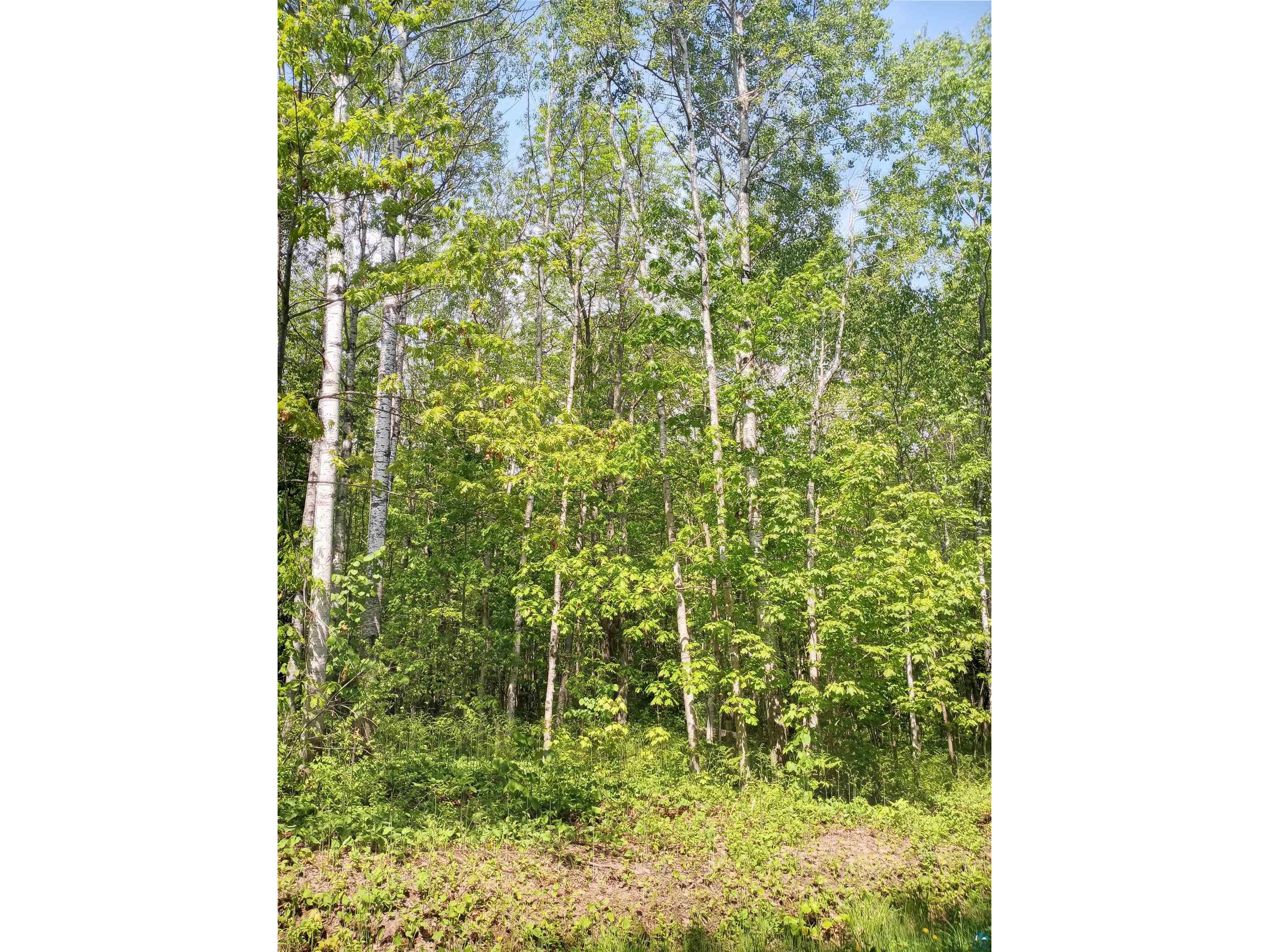 90xxx Lamont Rd Bayfield WI 54814 6108433 image1