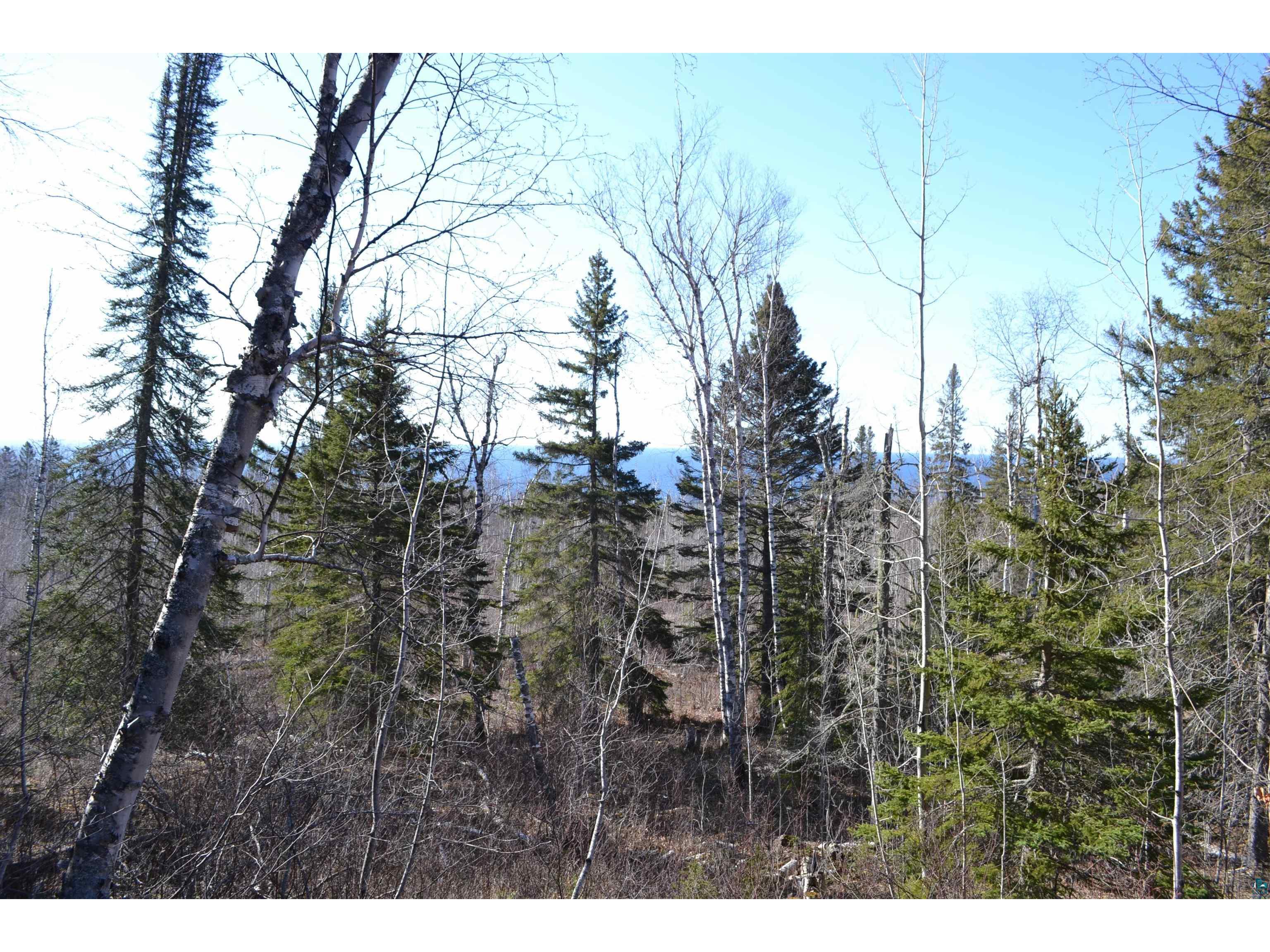 91 Birch Cliff Dr Tofte MN 55615 6113327 image1