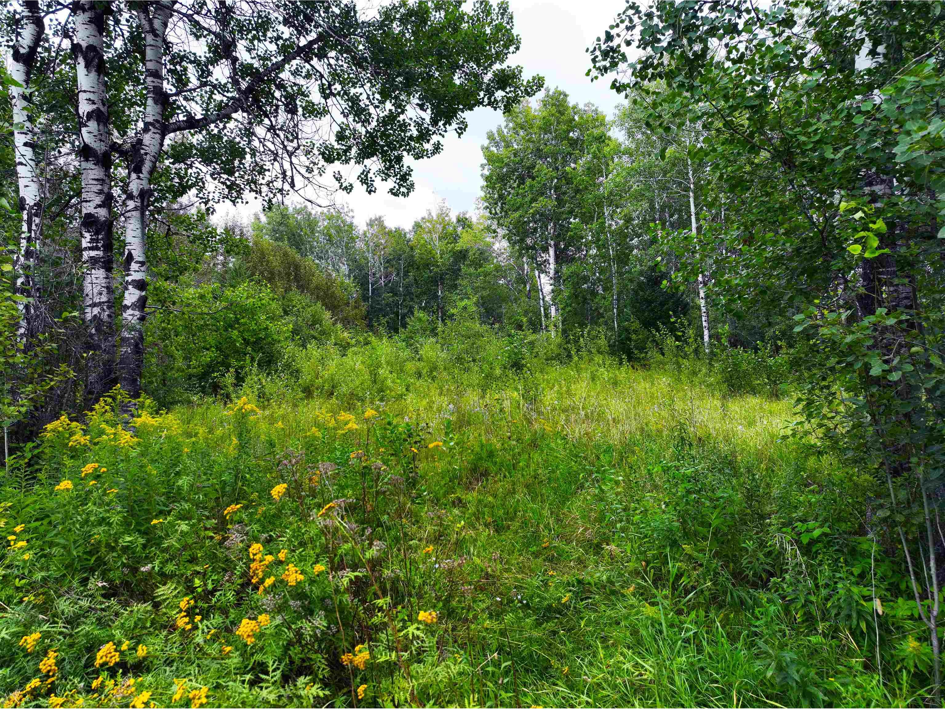 9128 Peary Rd Cotton MN 55724 6121540 image15