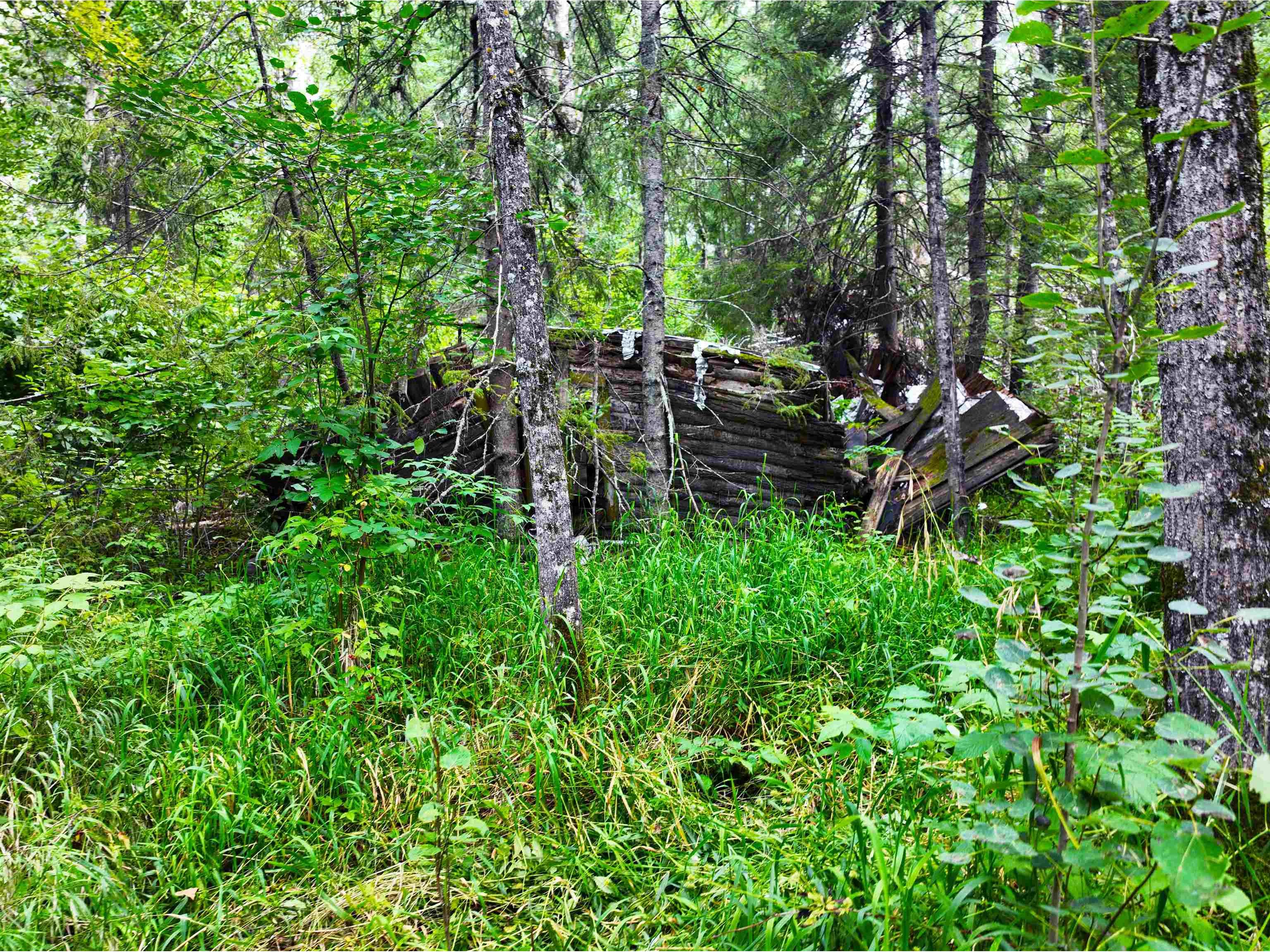 9128 Peary Rd Cotton MN 55724 6121540 image17