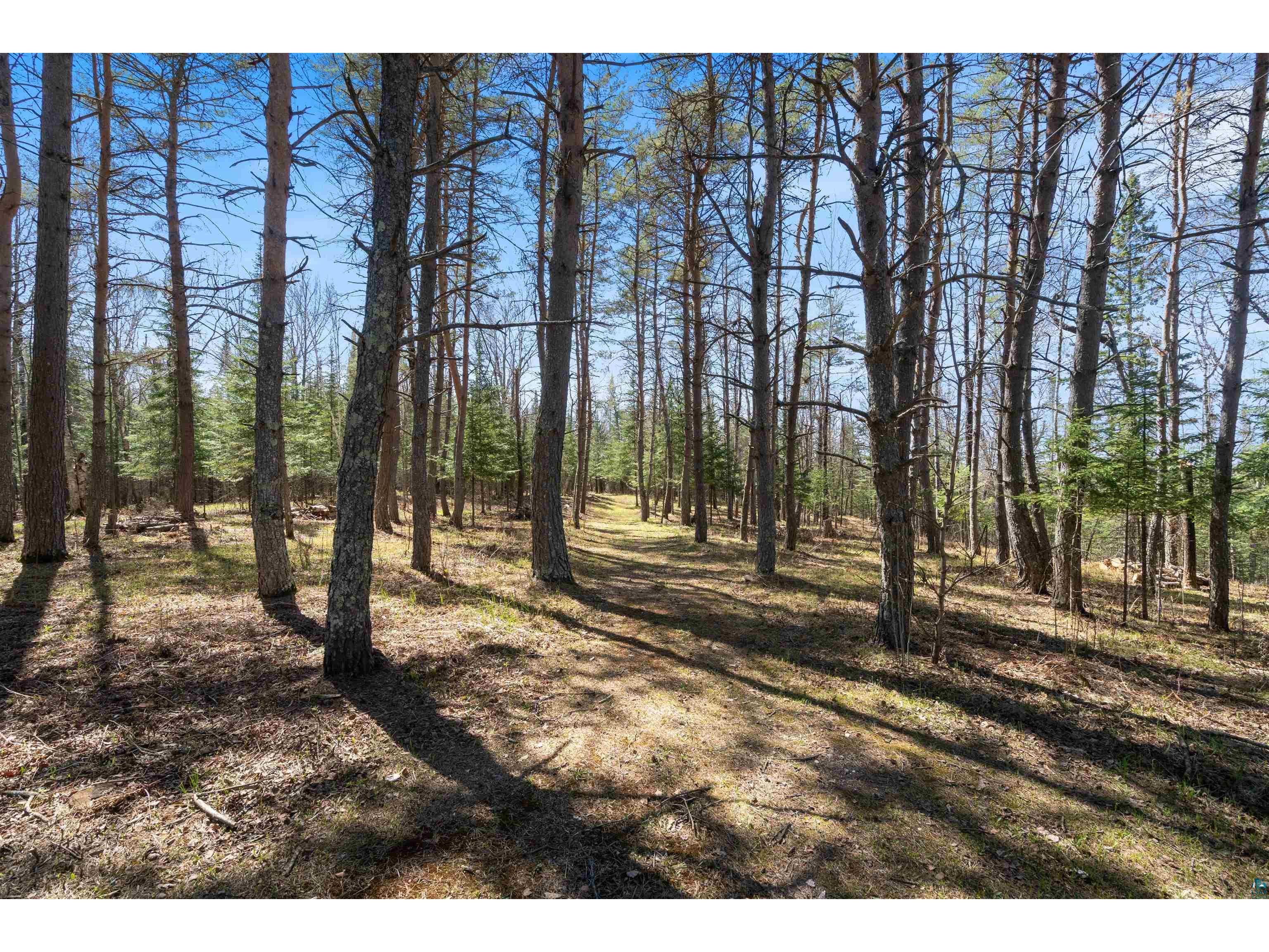 9137 McCamus Rd Brookston MN 55711 - St Louis River 6125266 image27