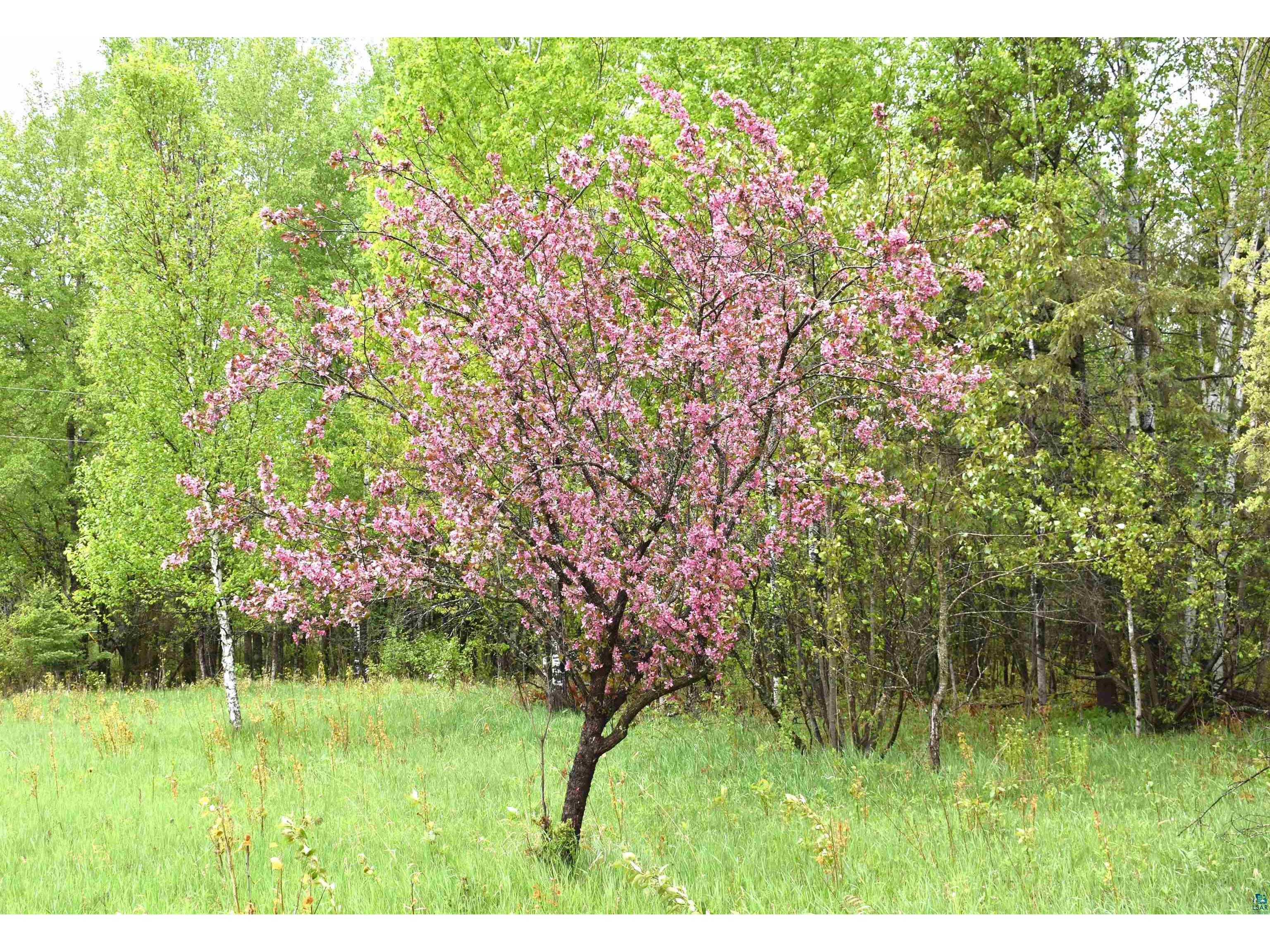 9137 McCamus Rd Brookston MN 55711 - St Louis River 6125266 image41