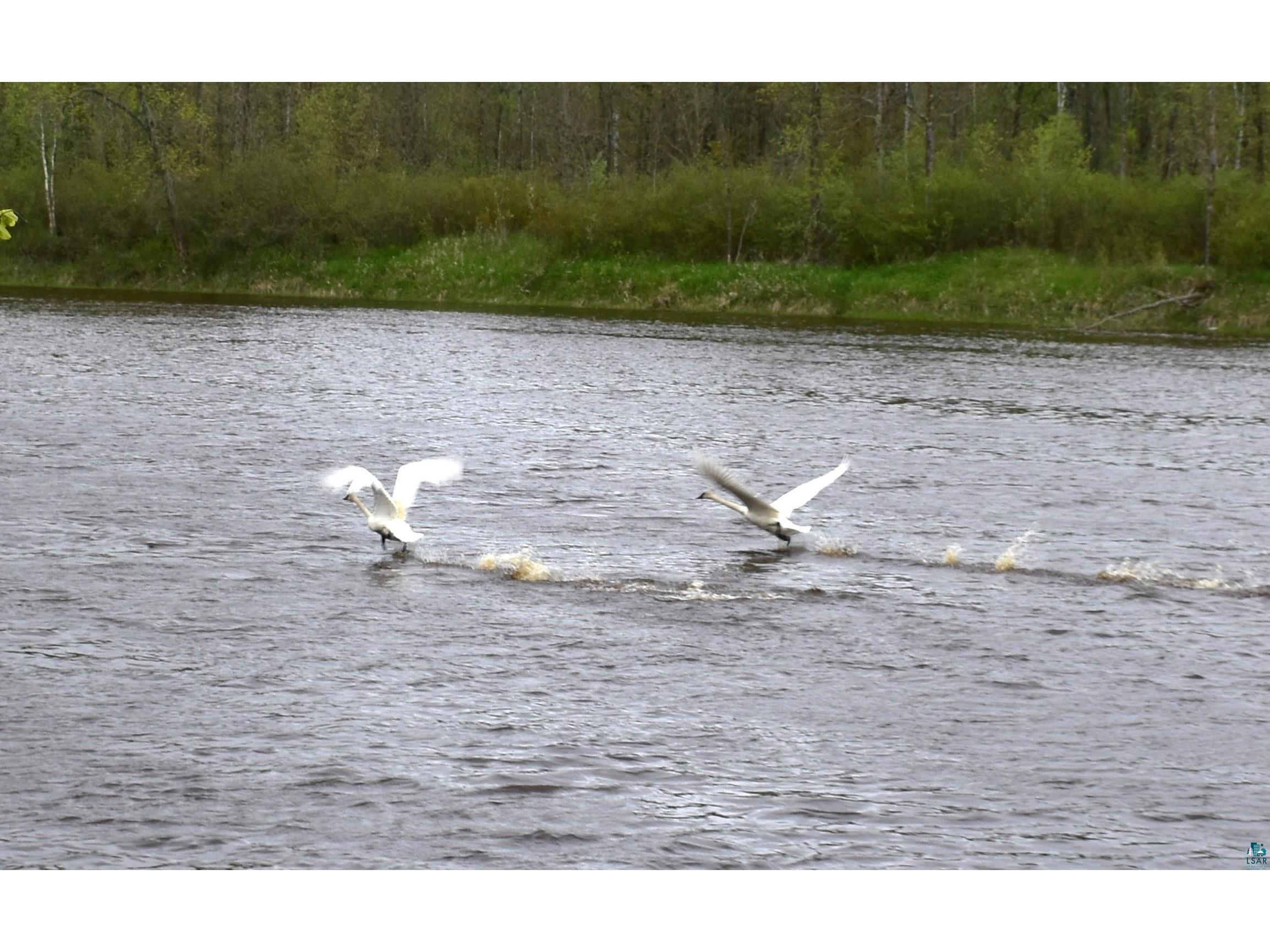 9137 McCamus Rd Brookston MN 55711 - St Louis River 6125266 image43