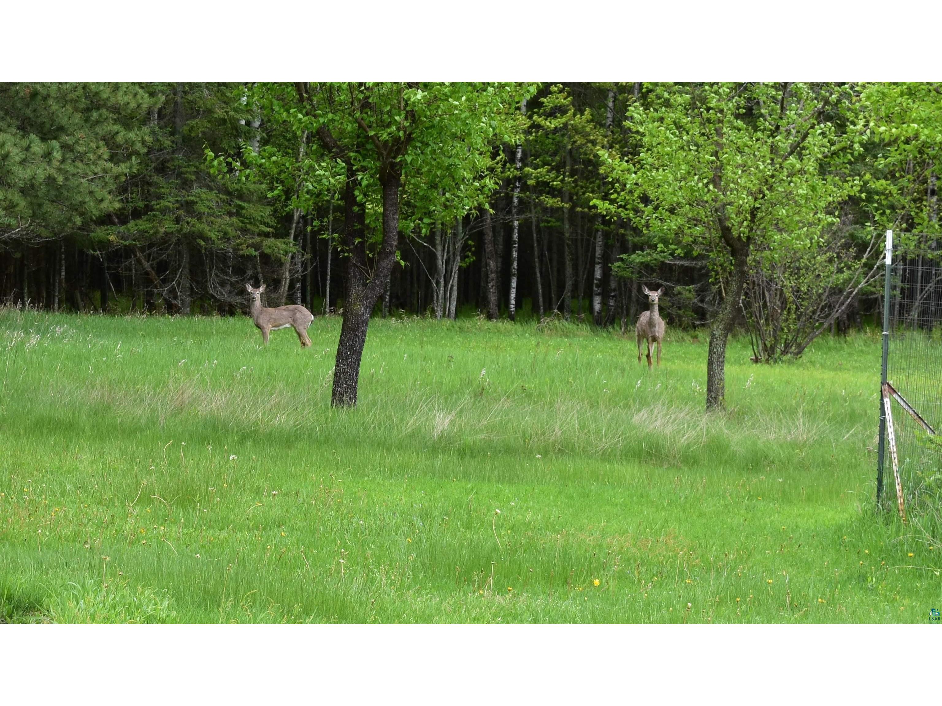 9137 McCamus Rd Brookston MN 55711 - St Louis River 6125266 image44