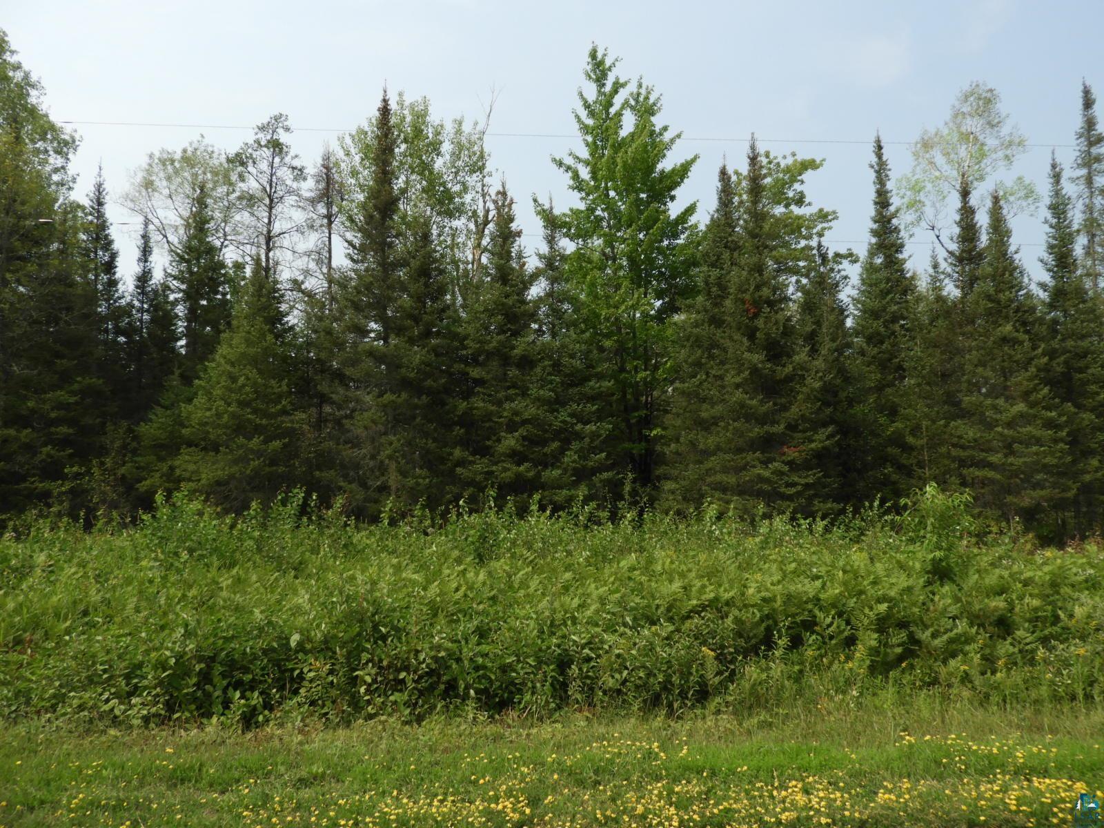 919X Hessey Rd Iron River WI 54865 - Kolin Creek 6109737 image1