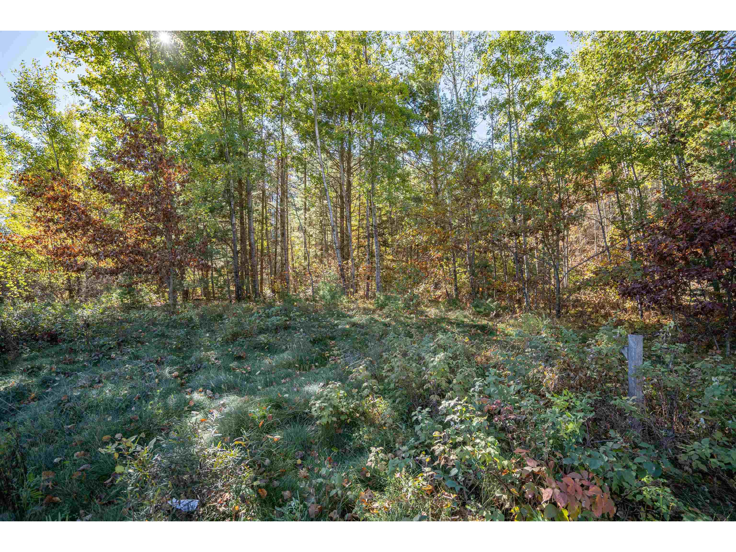 91XX E Evergreen Ave Solon Springs WI 54873 6122438 image6