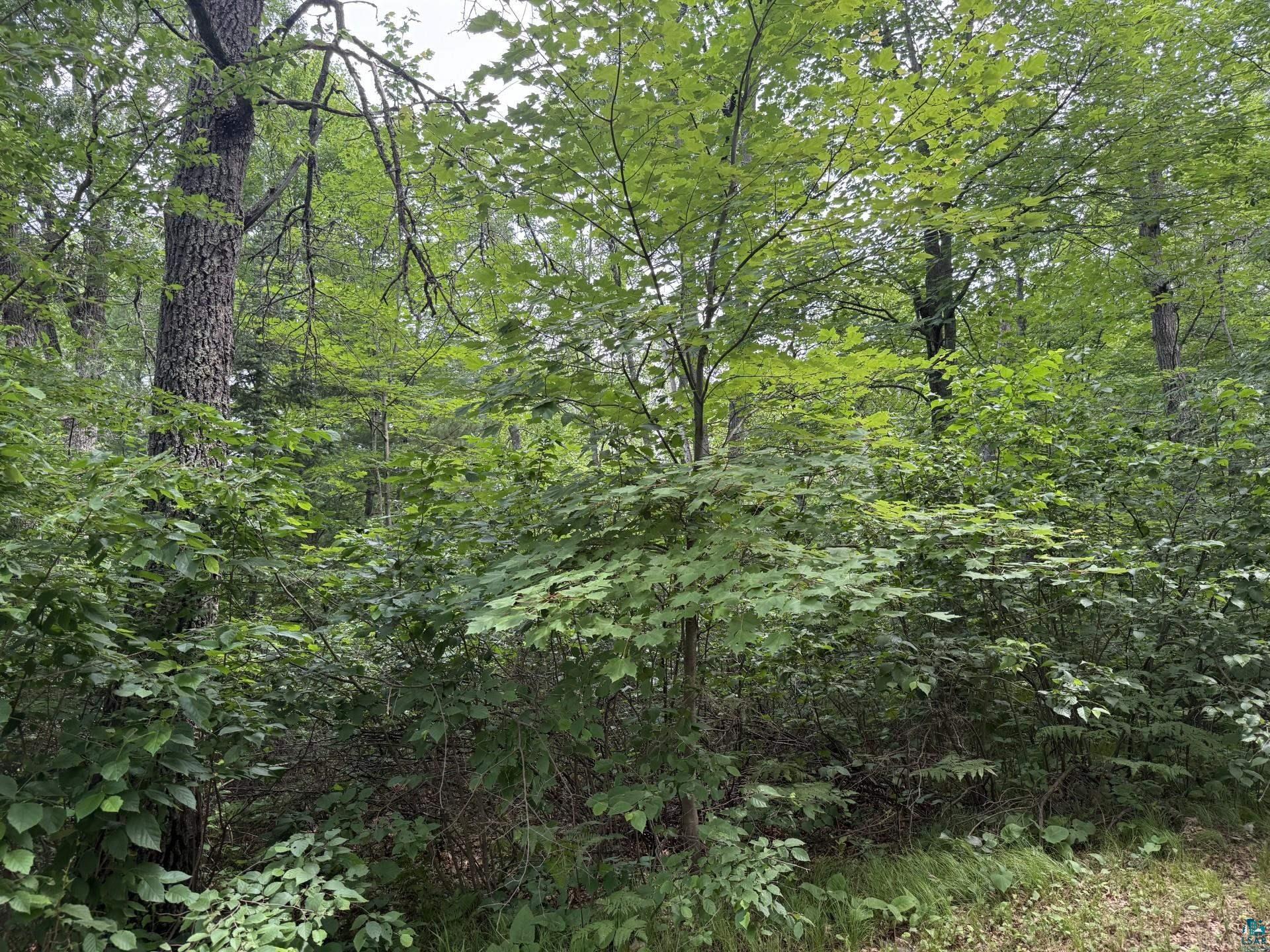 91XX E Hilltop Dr Solon Springs WI 54873 6126529 image4