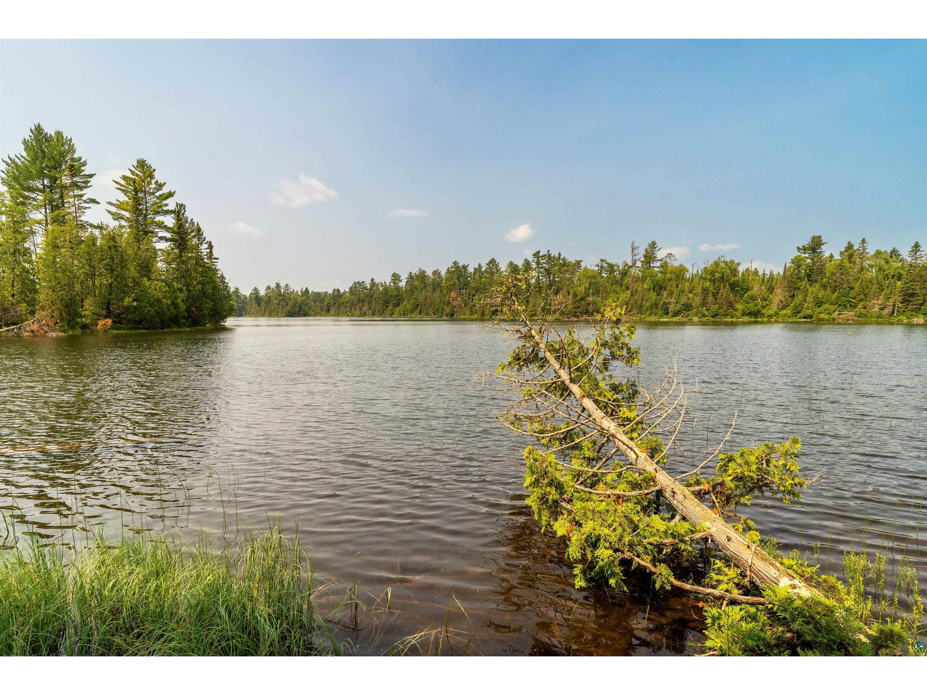92 Erickson Trl Tofte MN 55615 - Pancore 6124626 image49