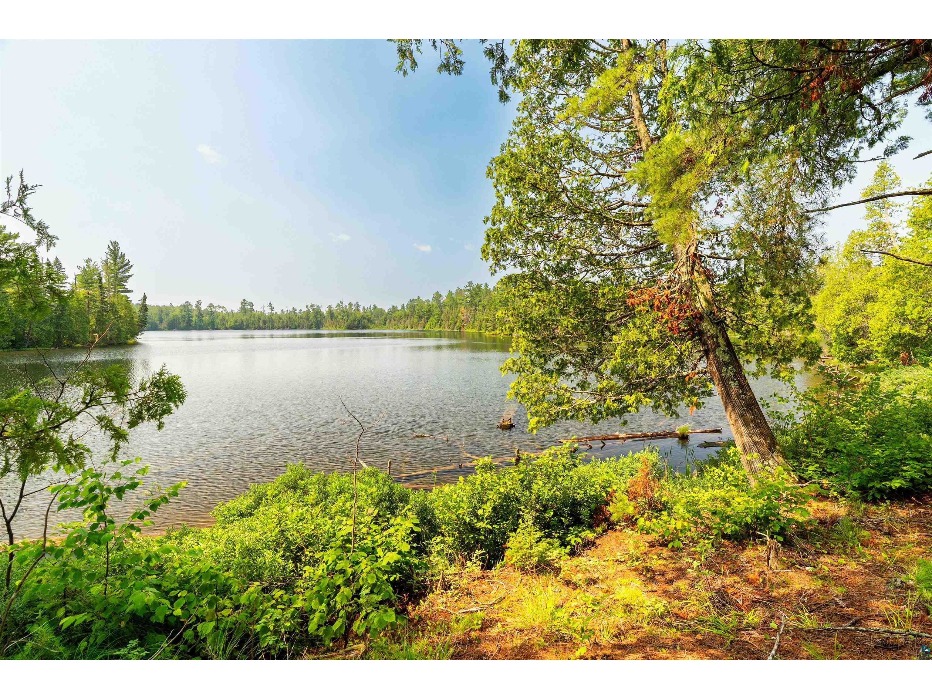 92 Erickson Trl Tofte MN 55615 - Pancore 6124626 image59