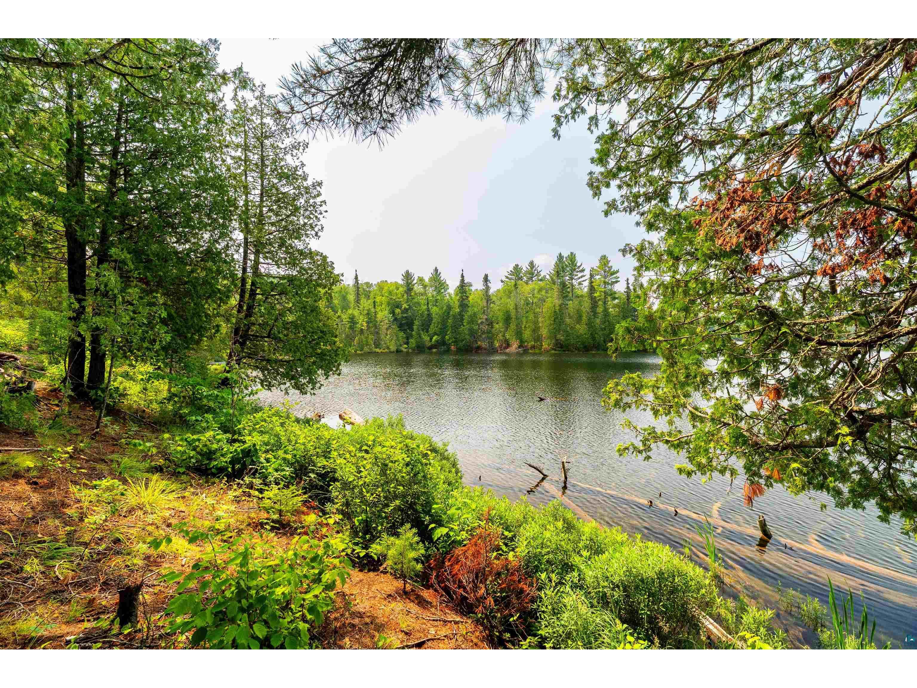 92 Erickson Trl Tofte MN 55615 - Pancore 6124626 image60