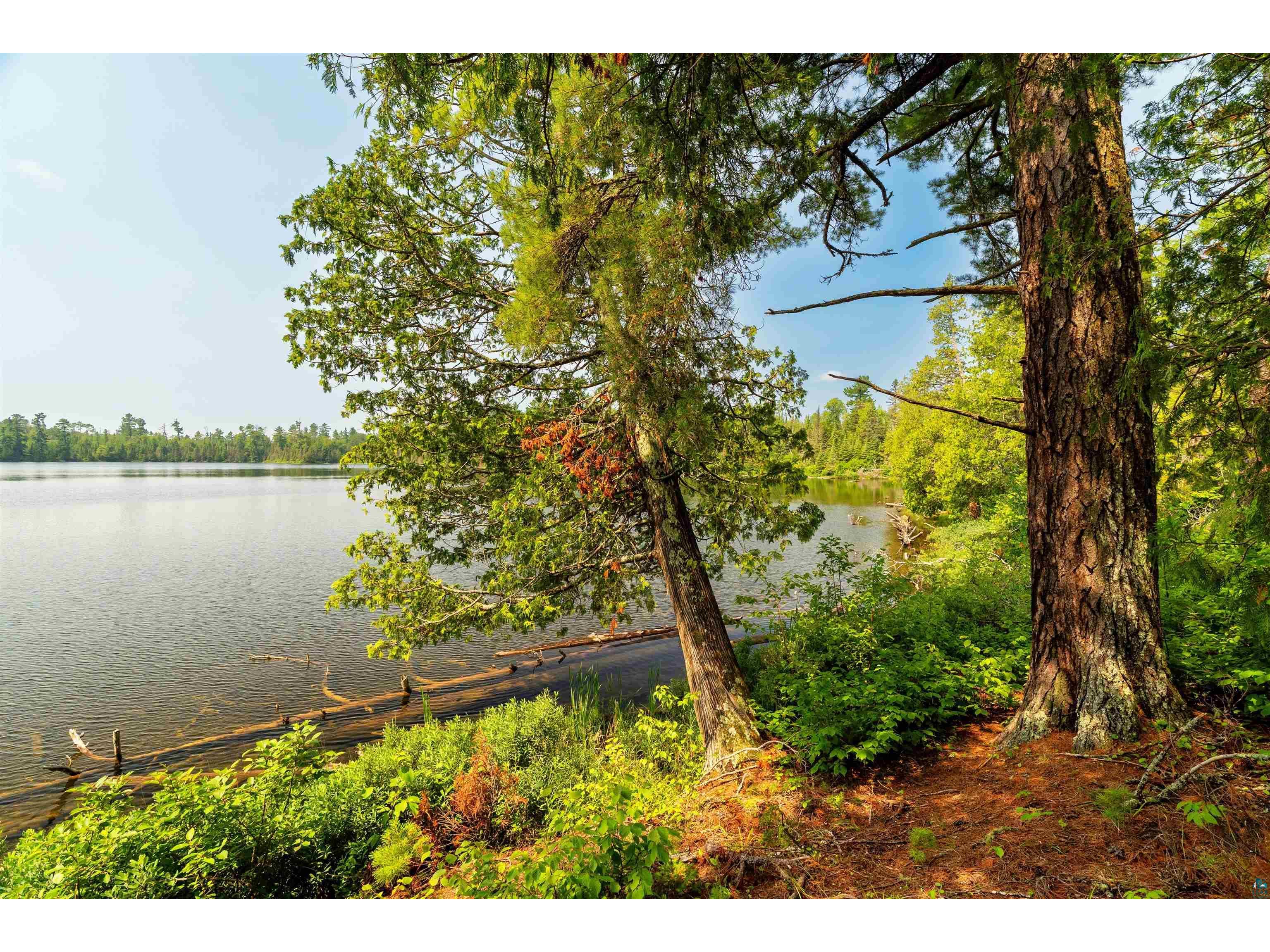 92 Erickson Trl Tofte MN 55615 - Pancore 6124626 image73