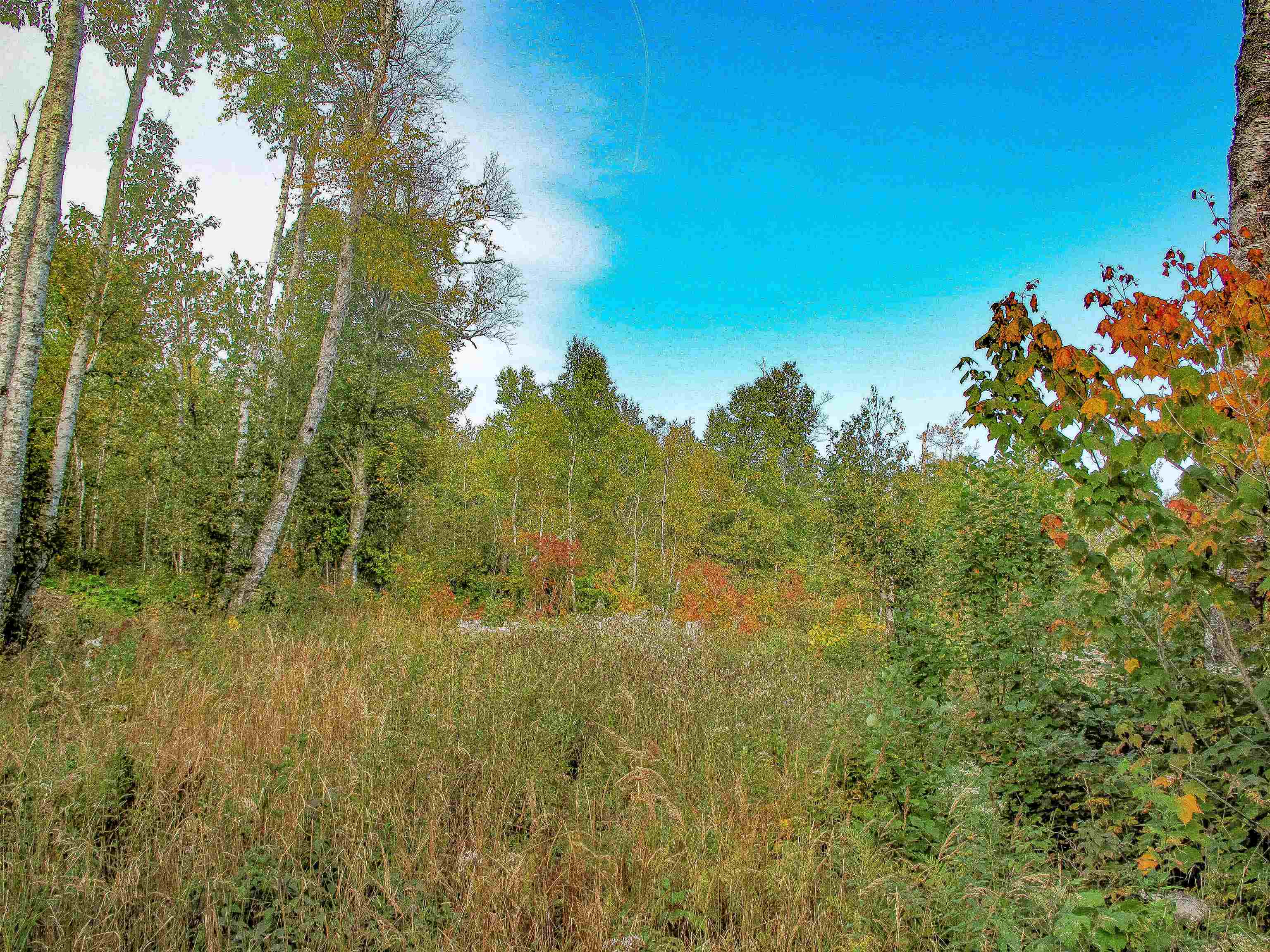 9223 Hwy 61 W Schroeder MN 55613 6119000 image1