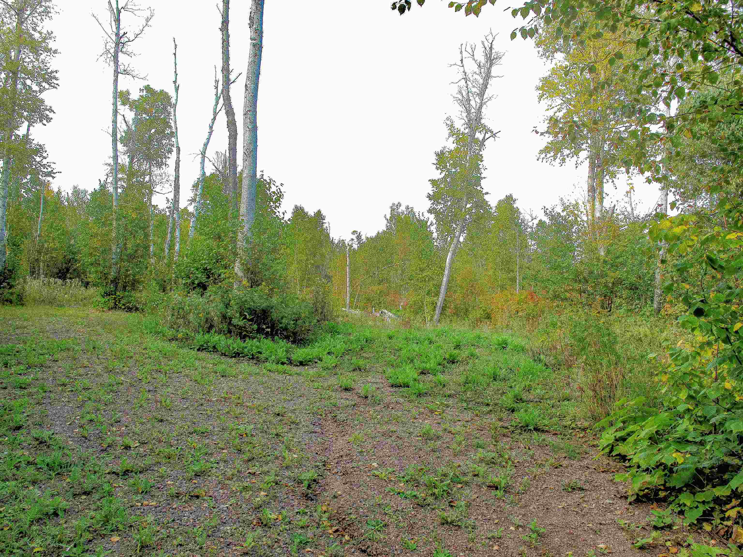 9223 Hwy 61 W Schroeder MN 55613 6119000 image10