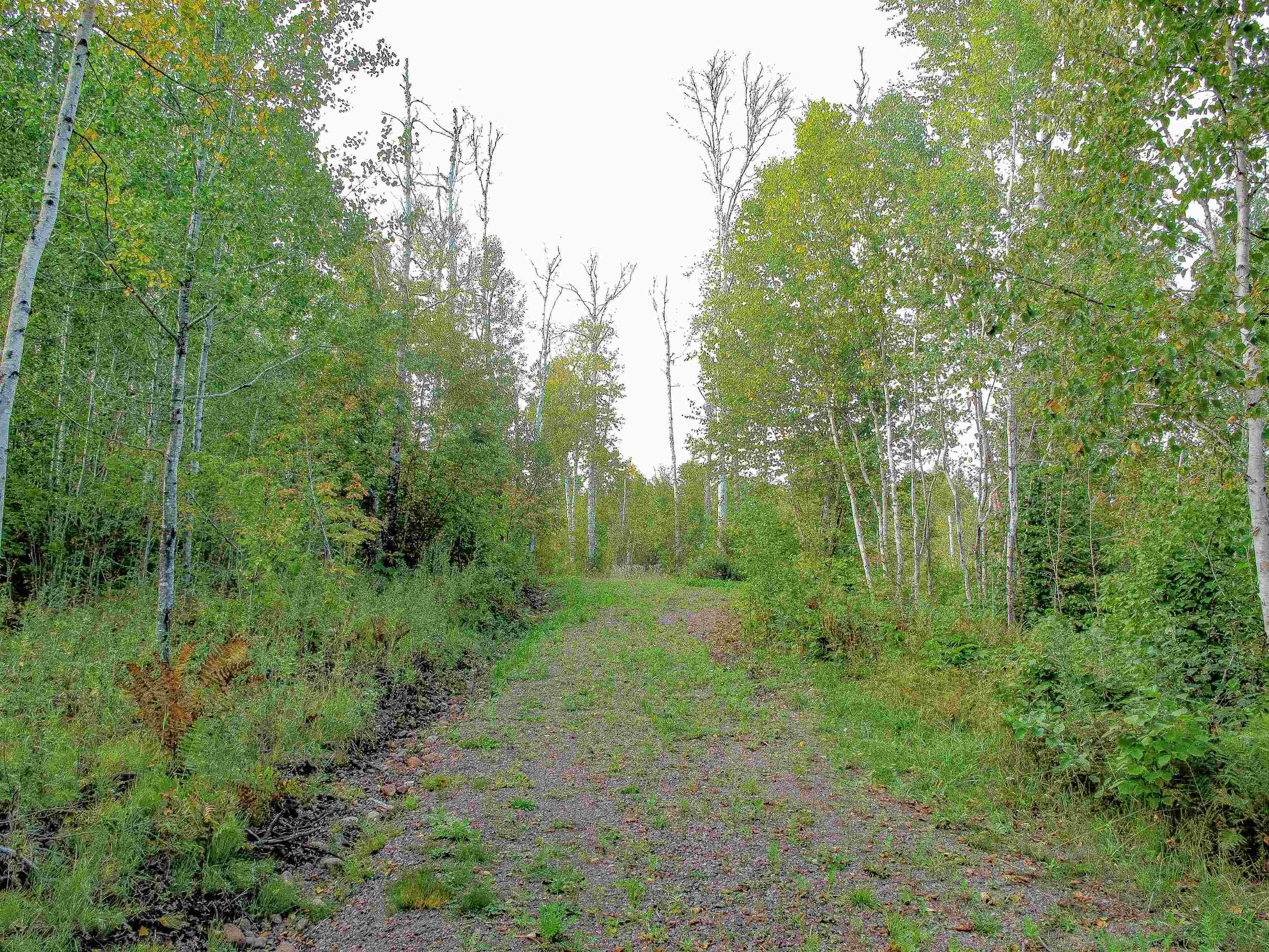 9223 Hwy 61 W Schroeder MN 55613 6119000 image11