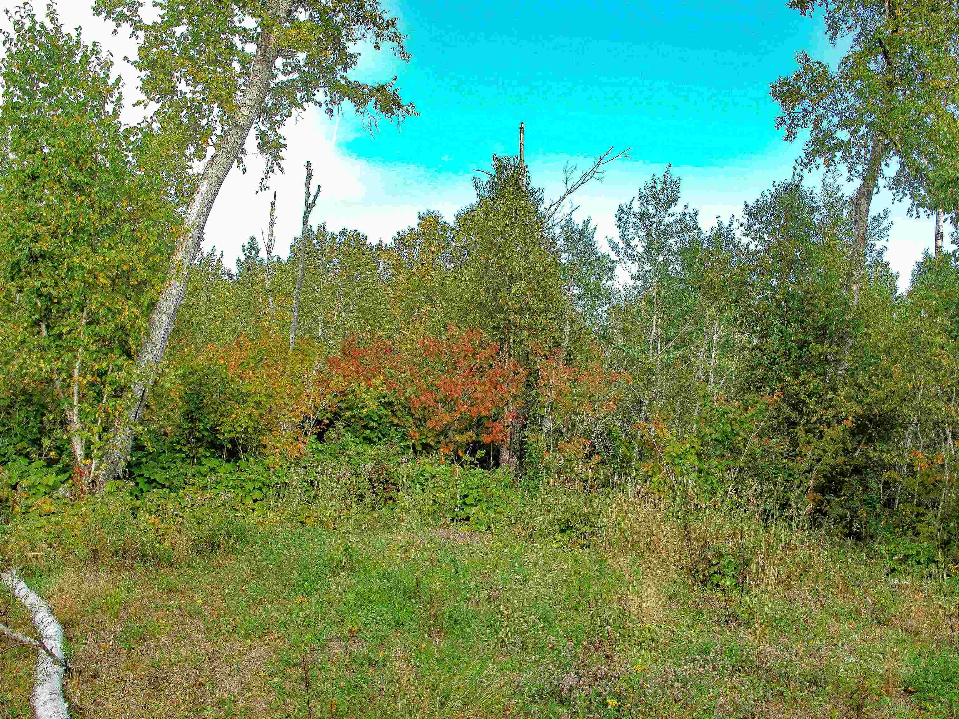 9223 Hwy 61 W Schroeder MN 55613 6119000 image12