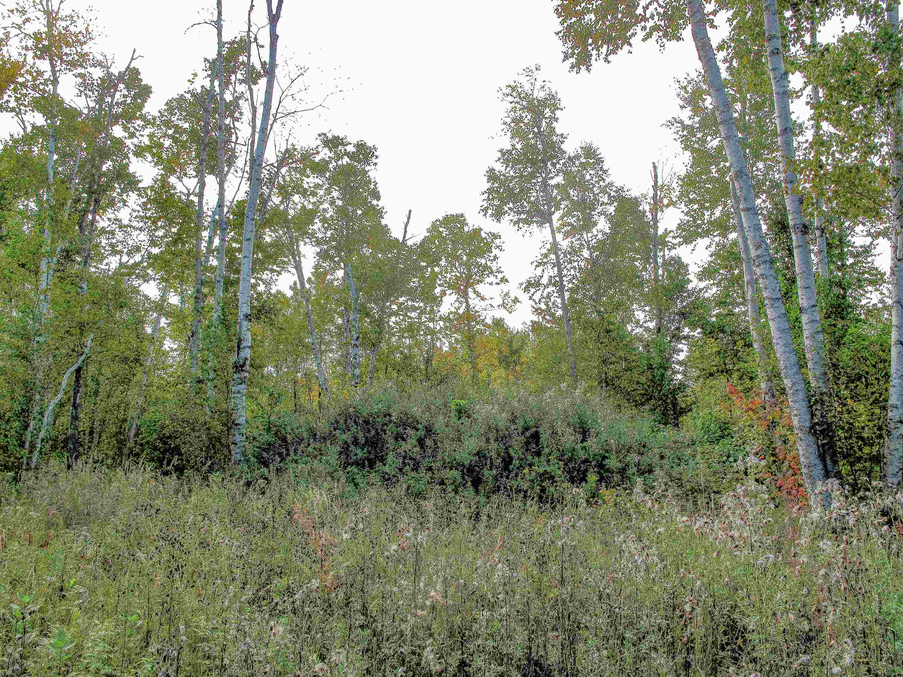 9223 Hwy 61 W Schroeder MN 55613 6119000 image13