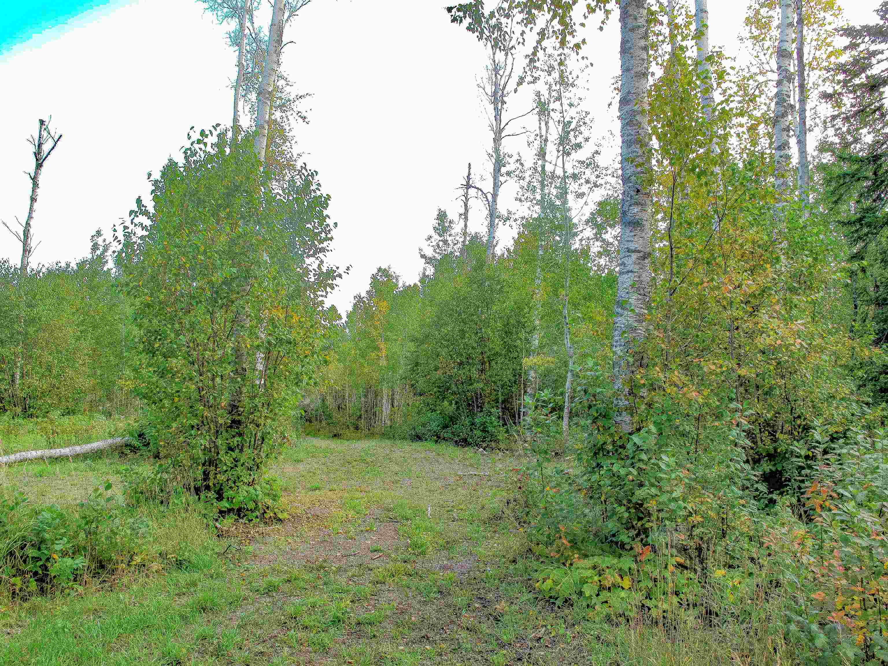 9223 Hwy 61 W Schroeder MN 55613 6119000 image14