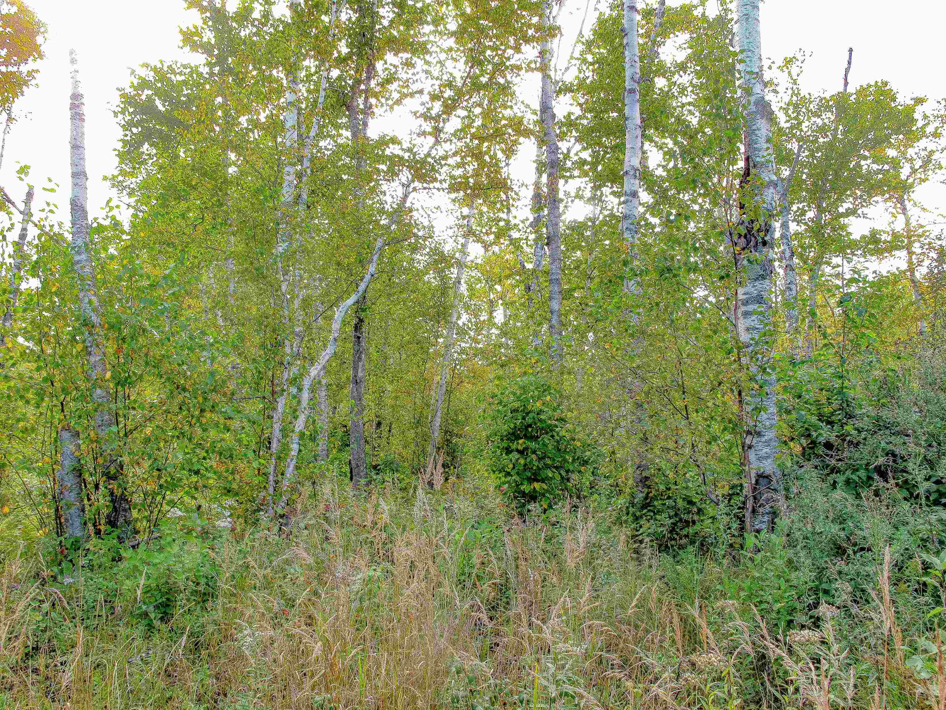 9223 Hwy 61 W Schroeder MN 55613 6119000 image15