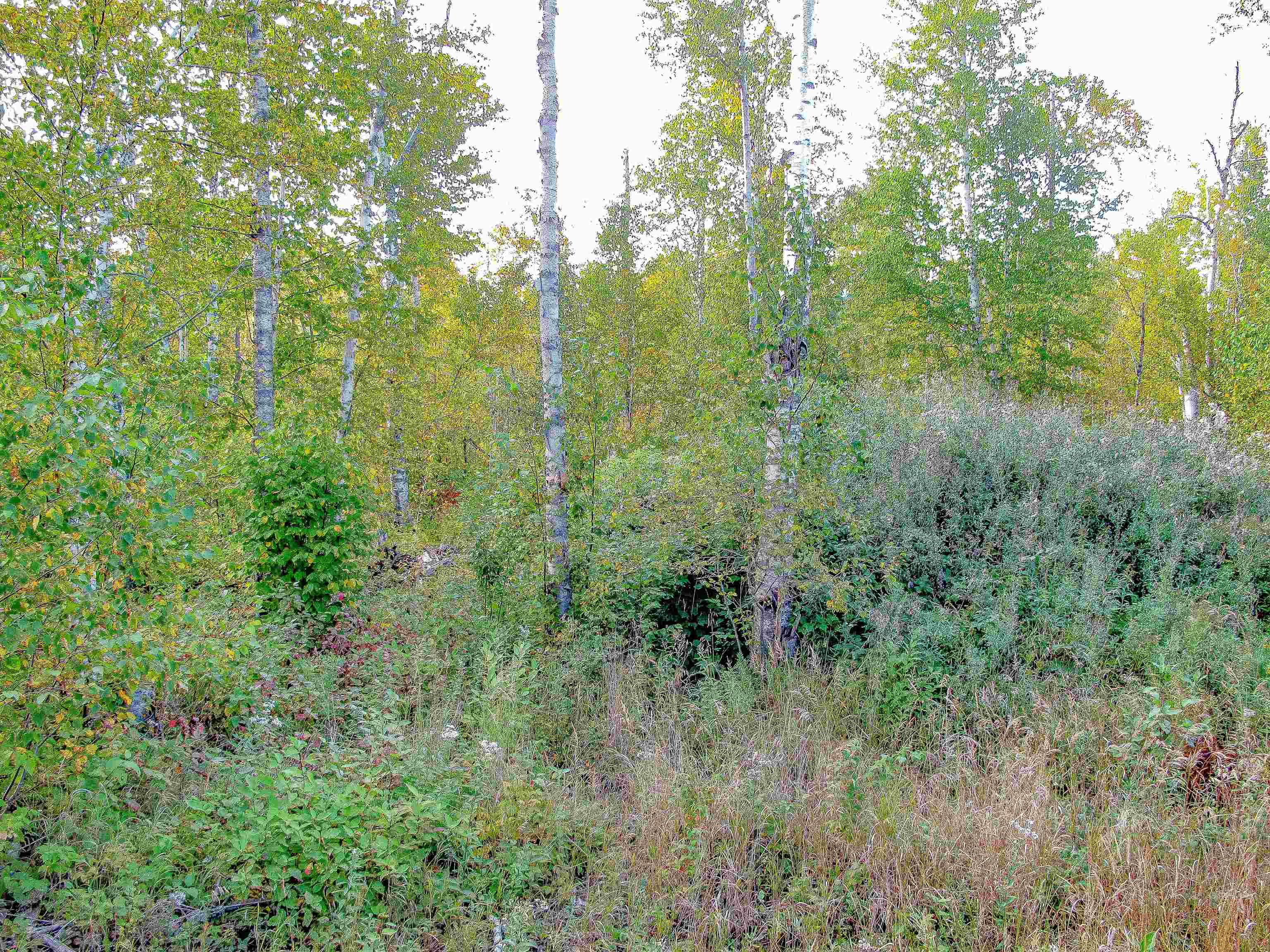 9223 Hwy 61 W Schroeder MN 55613 6119000 image16