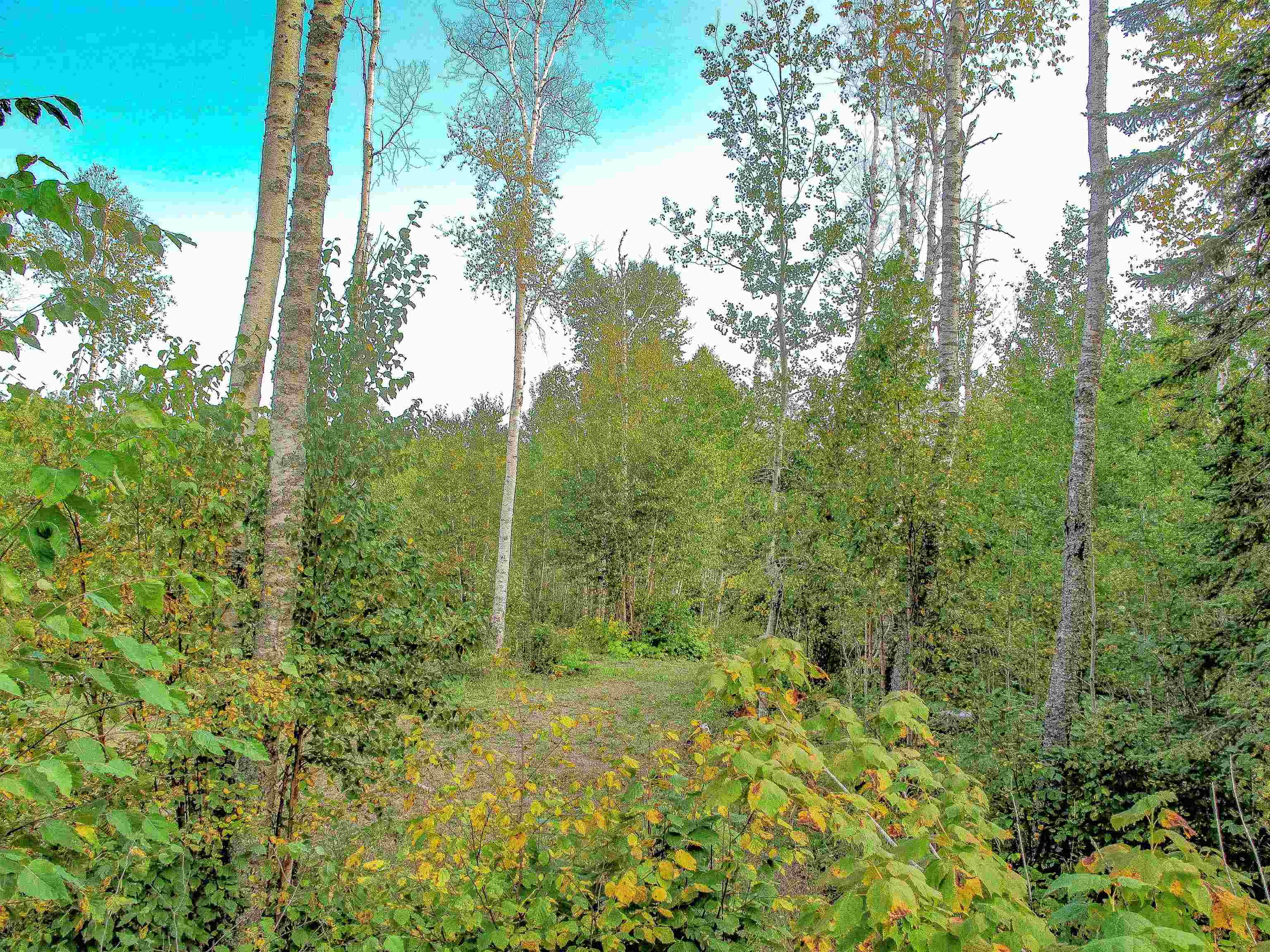 9223 Hwy 61 W Schroeder MN 55613 6119000 image17