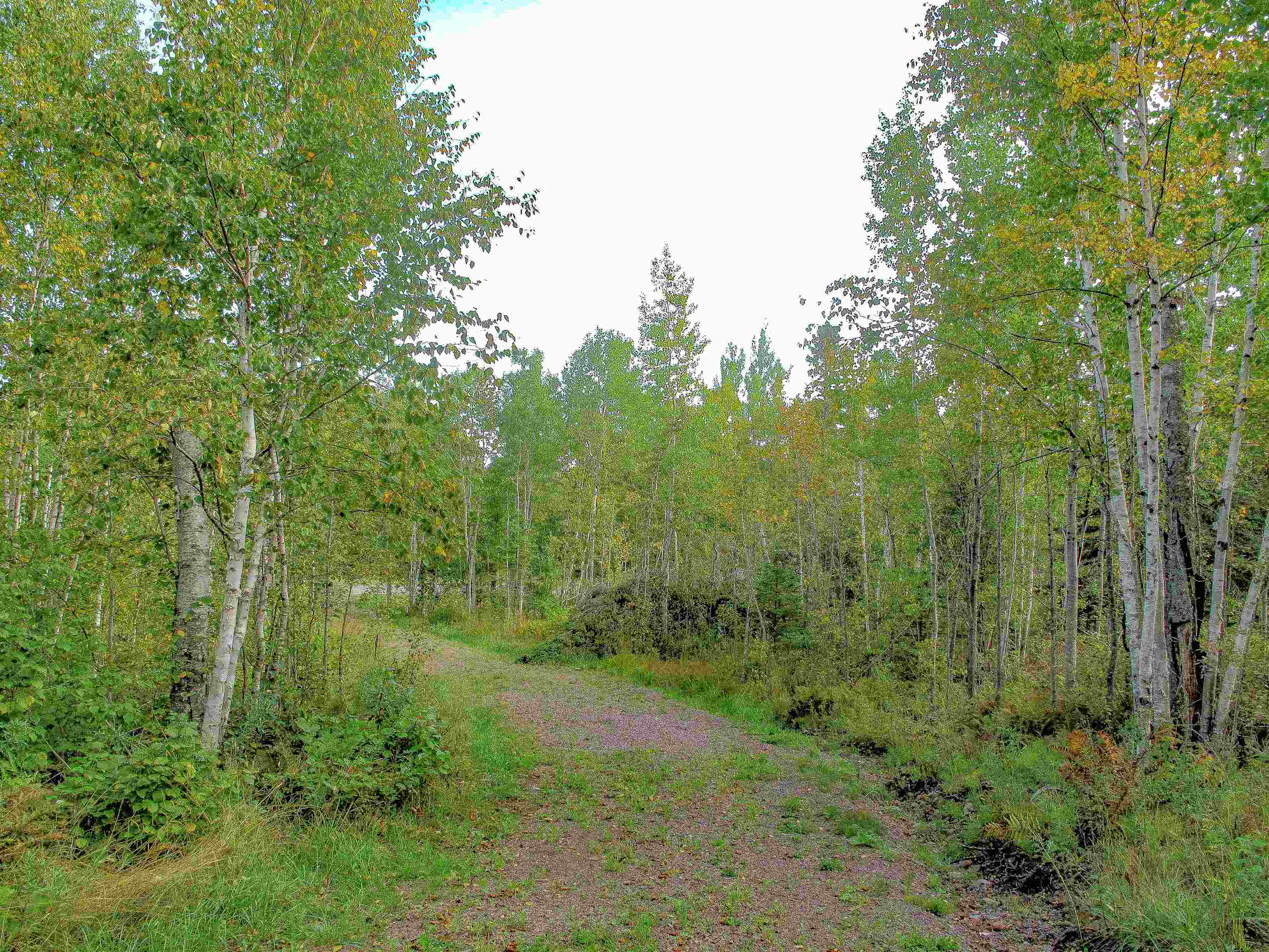 9223 Hwy 61 W Schroeder MN 55613 6119000 image2