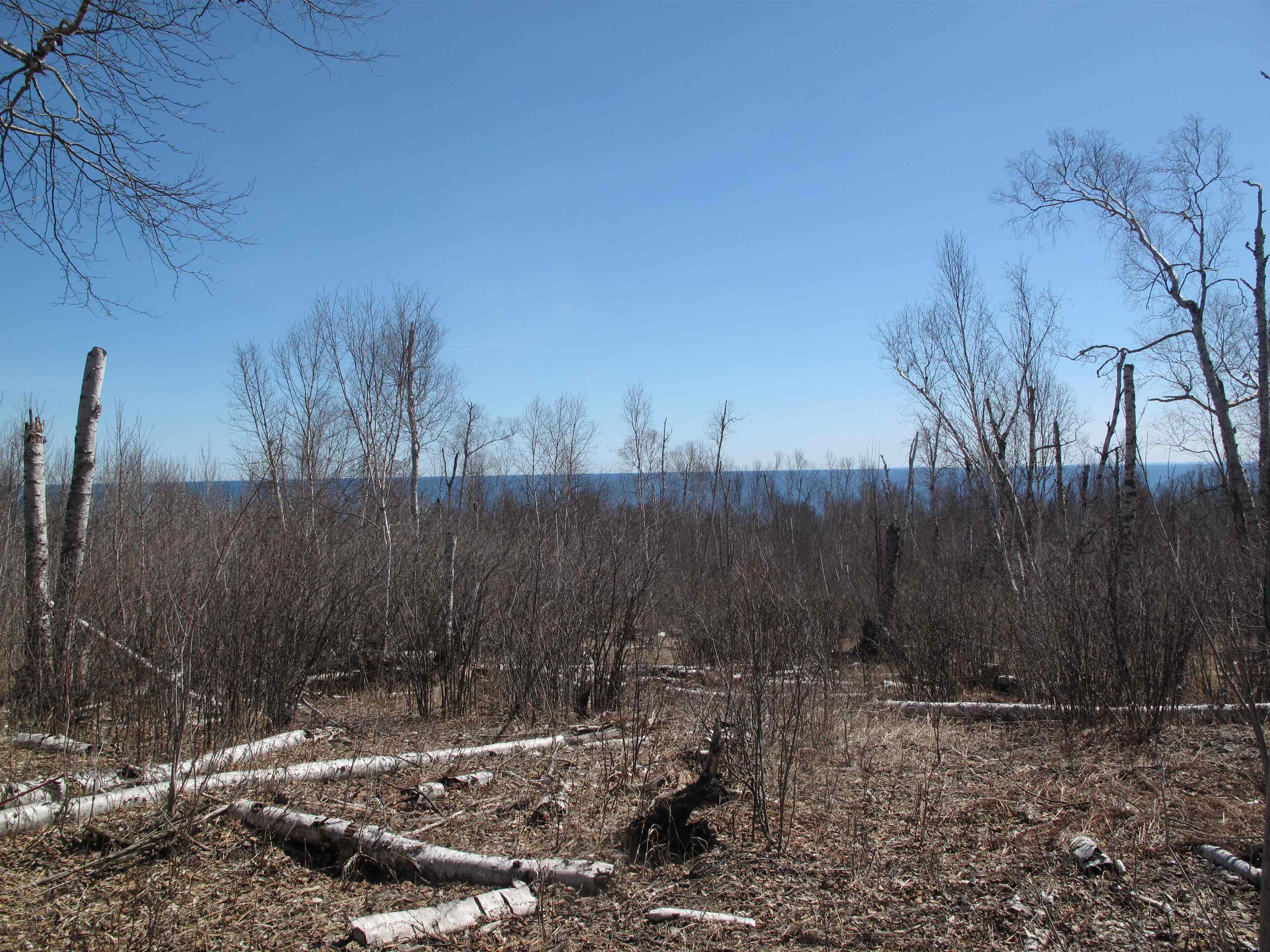 9223 Hwy 61 W Schroeder MN 55613 6119000 image20