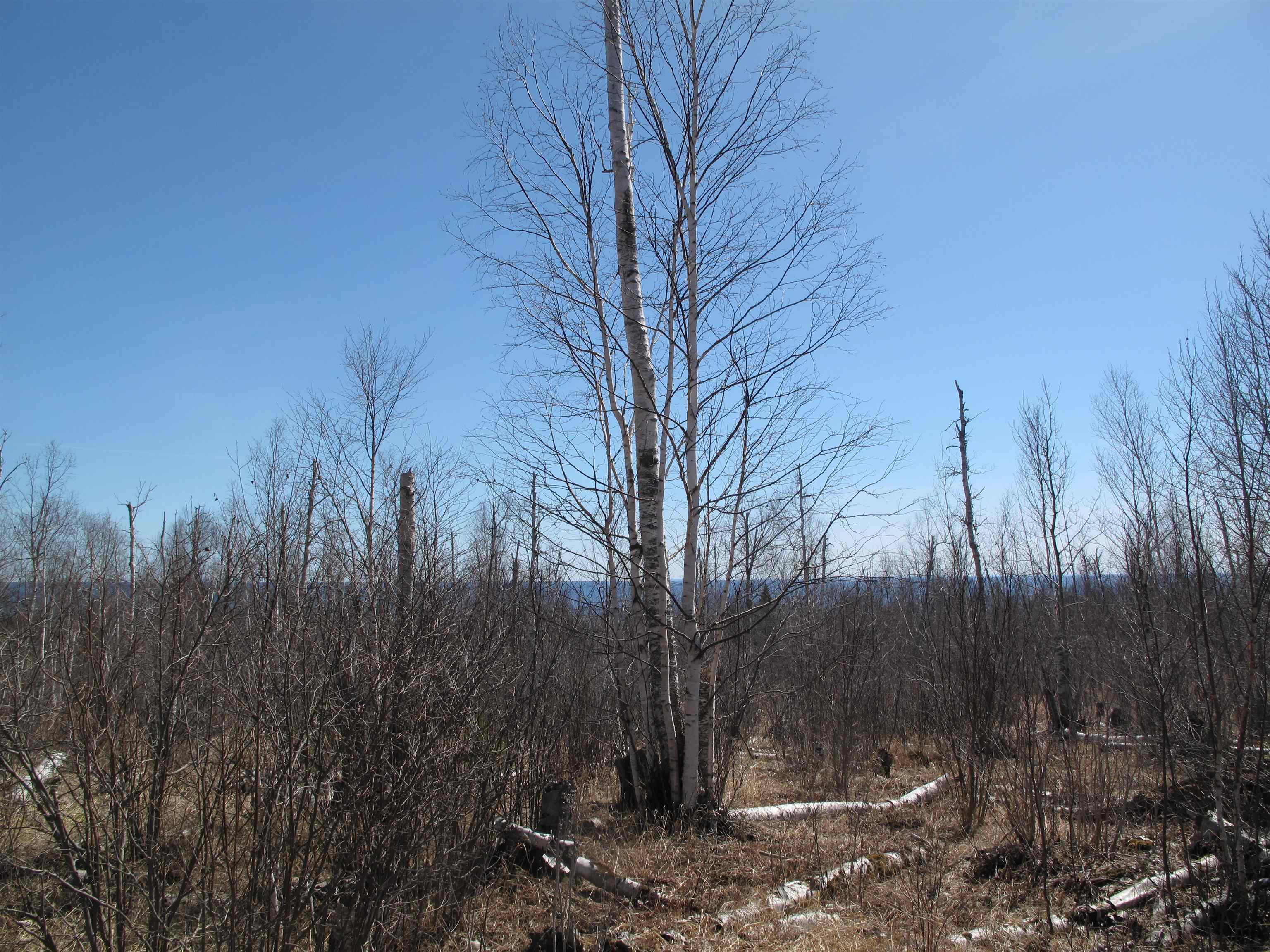 9223 Hwy 61 W Schroeder MN 55613 6119000 image21