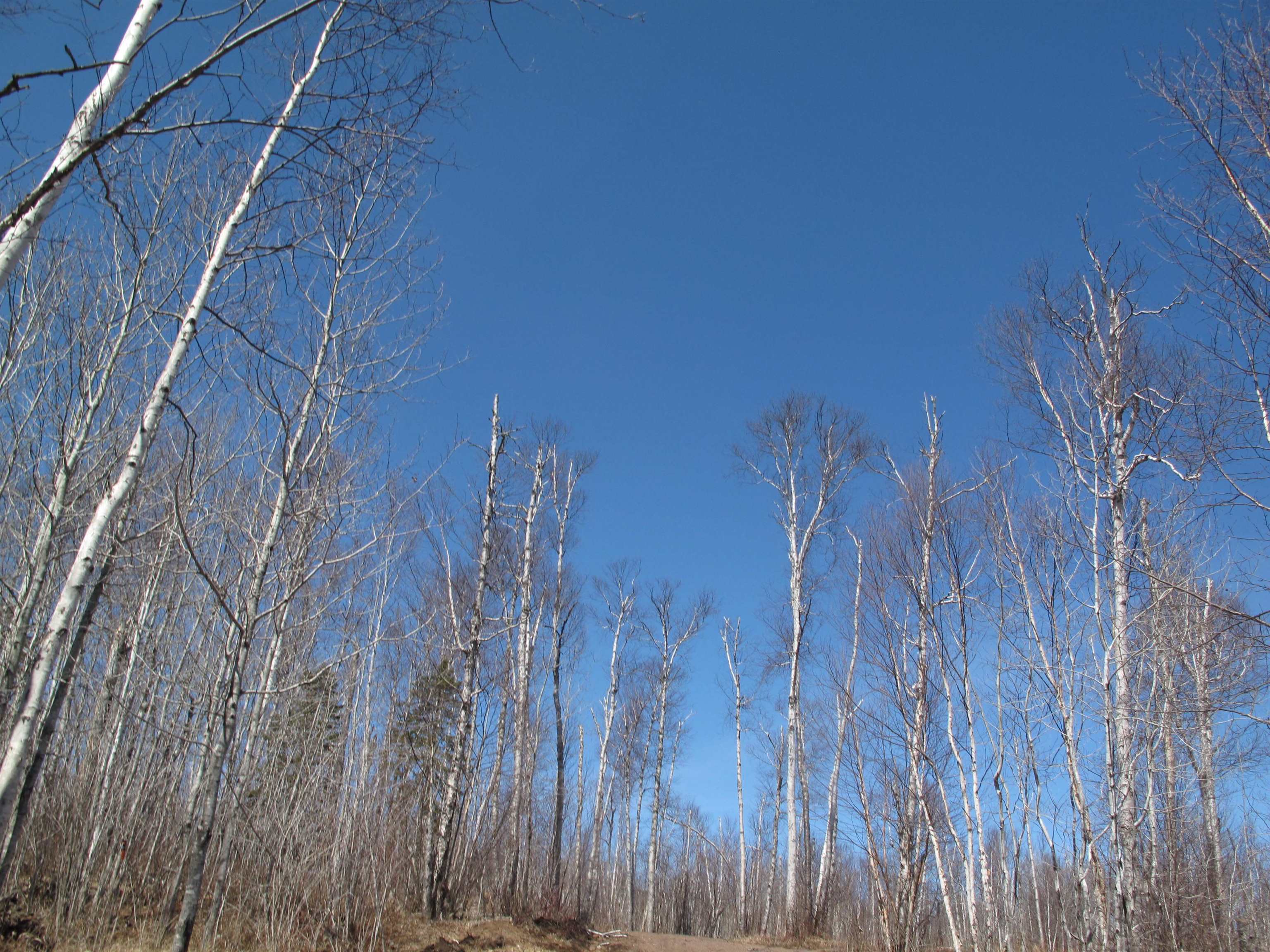 9223 Hwy 61 W Schroeder MN 55613 6119000 image23