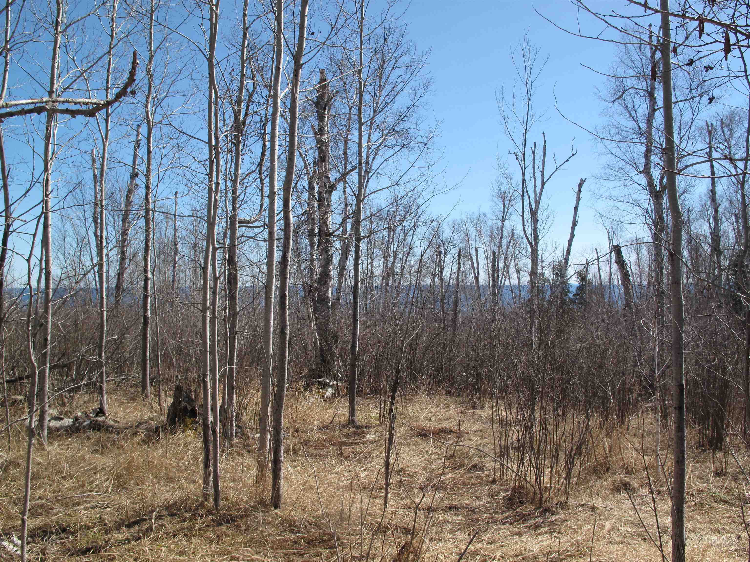 9223 Hwy 61 W Schroeder MN 55613 6119000 image25