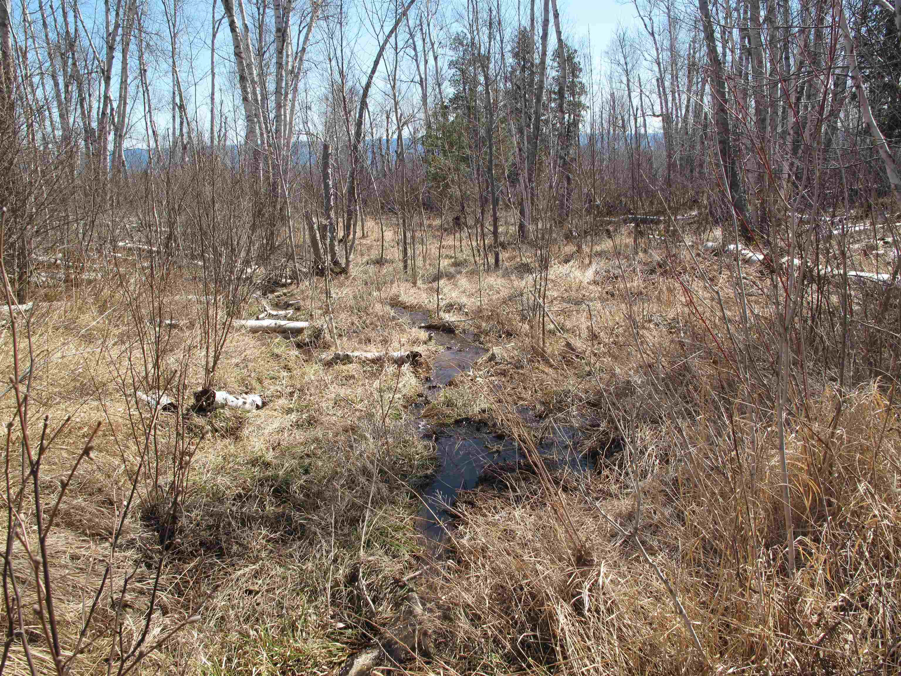 9223 Hwy 61 W Schroeder MN 55613 6119000 image27