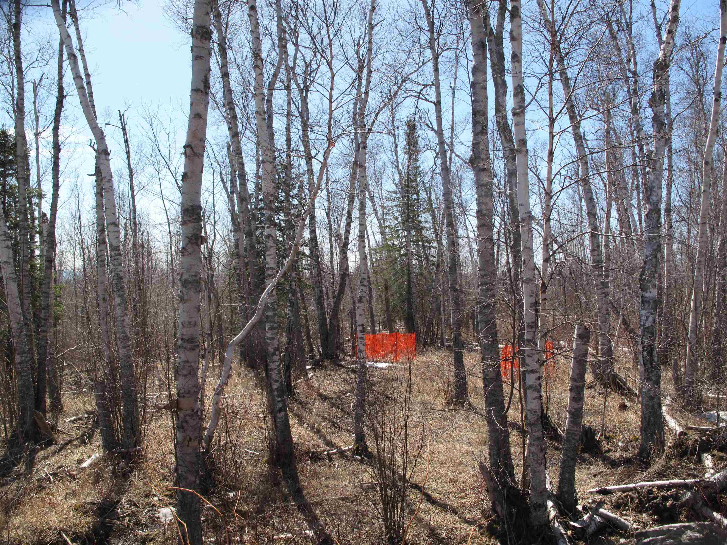 9223 Hwy 61 W Schroeder MN 55613 6119000 image28