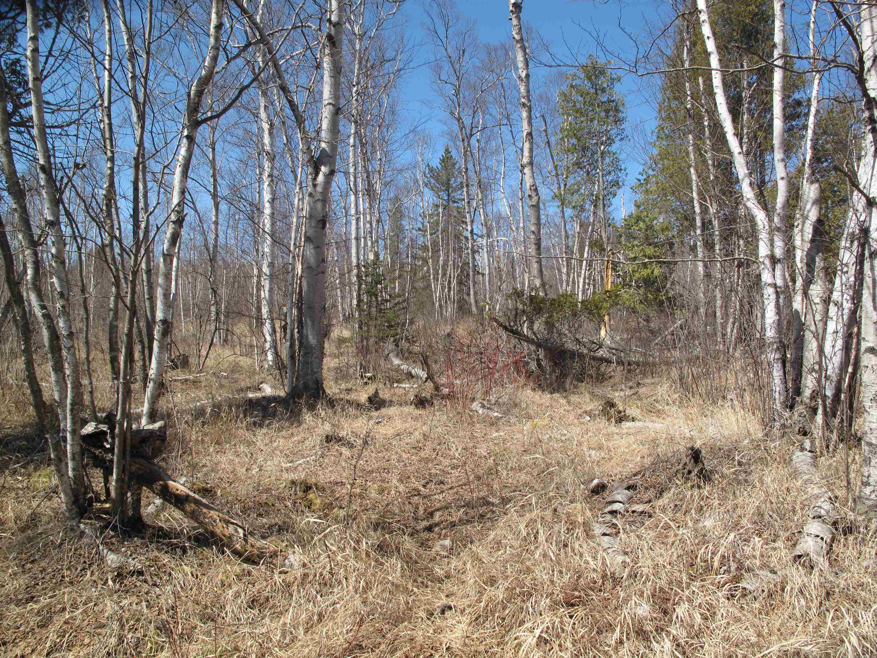 9223 Hwy 61 W Schroeder MN 55613 6119000 image31