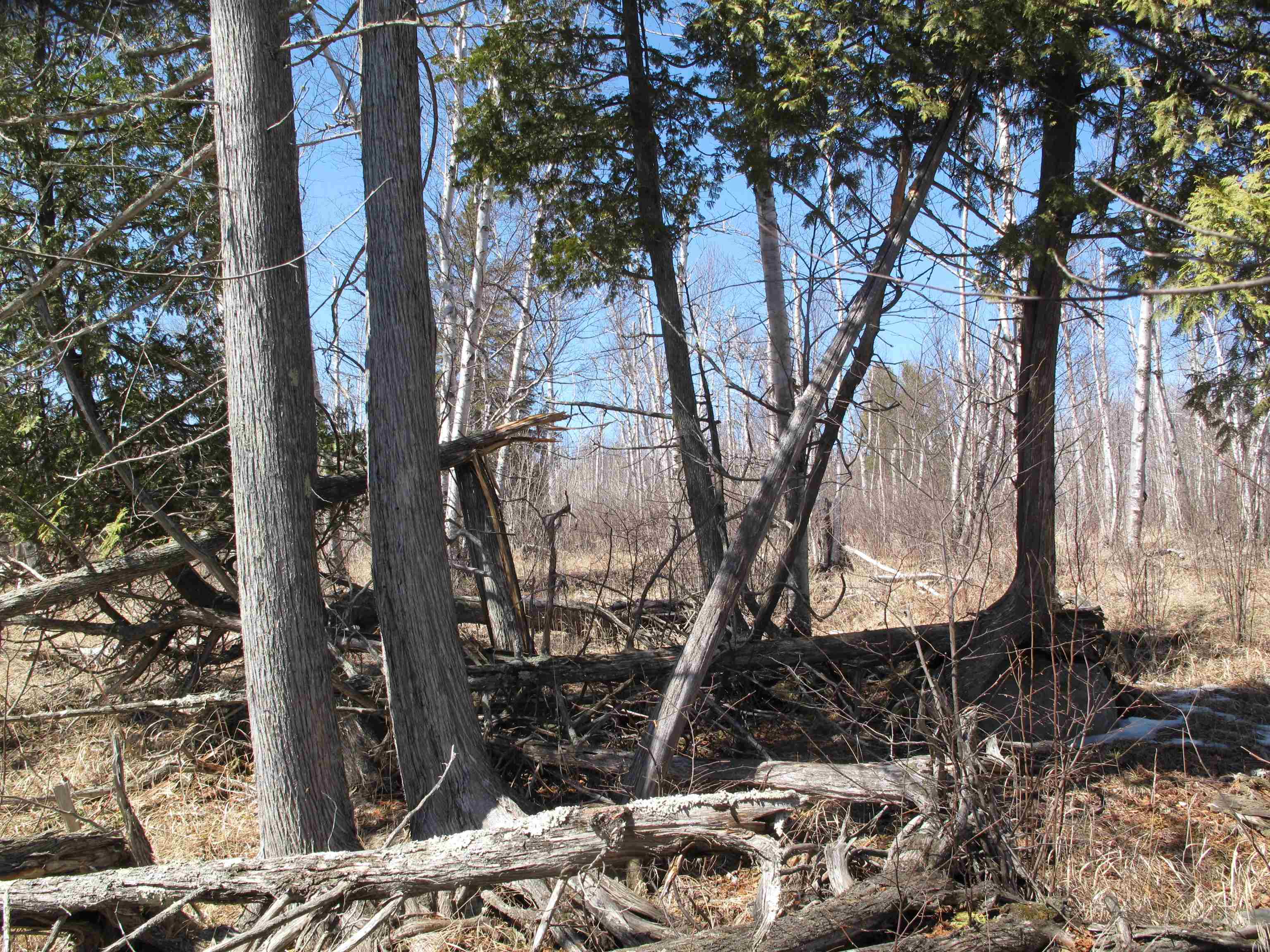 9223 Hwy 61 W Schroeder MN 55613 6119000 image32