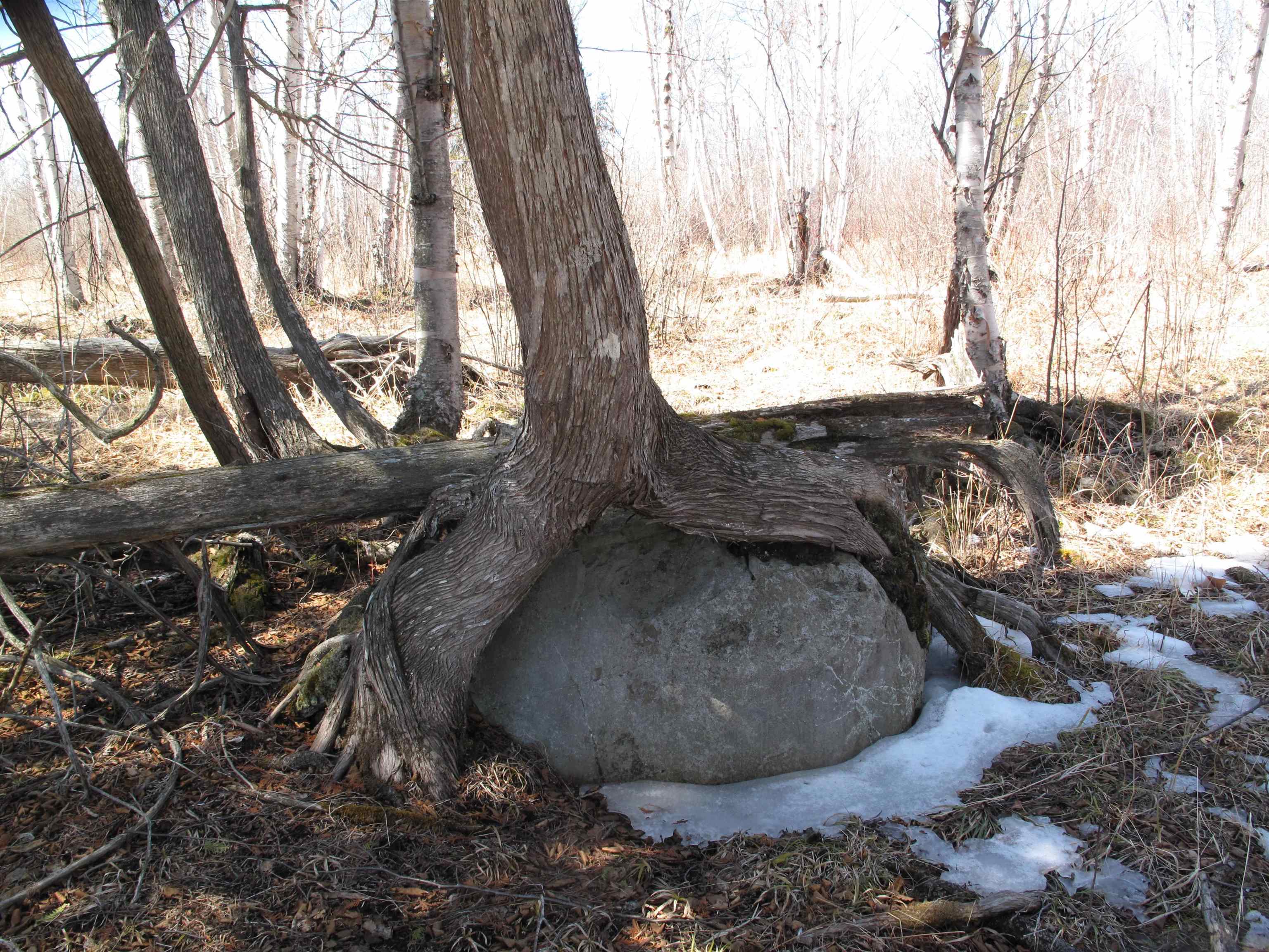 9223 Hwy 61 W Schroeder MN 55613 6119000 image33