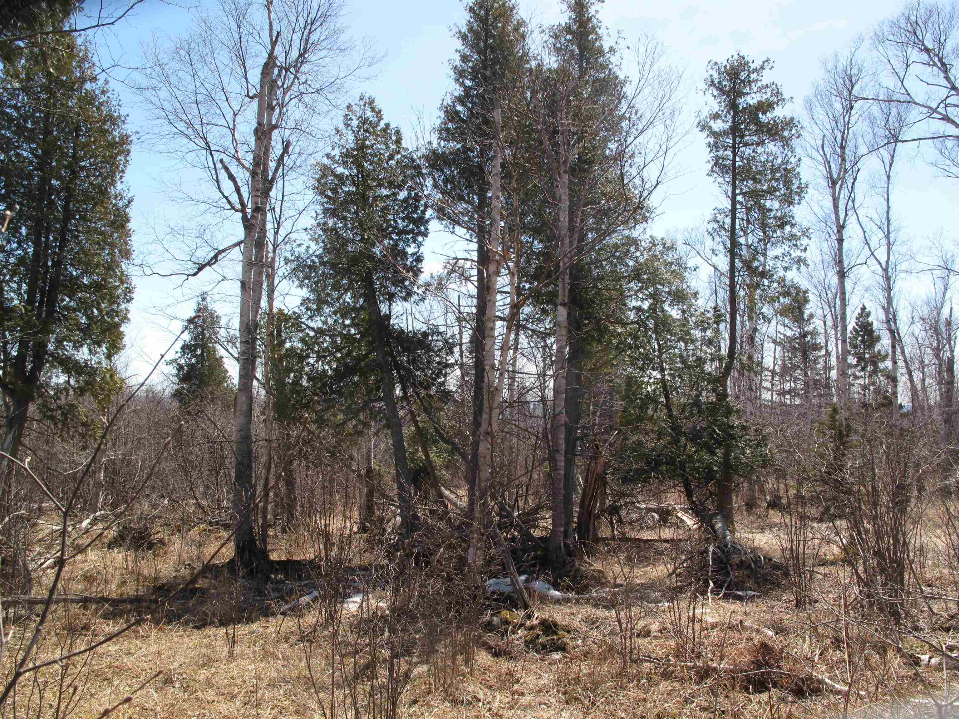 9223 Hwy 61 W Schroeder MN 55613 6119000 image35