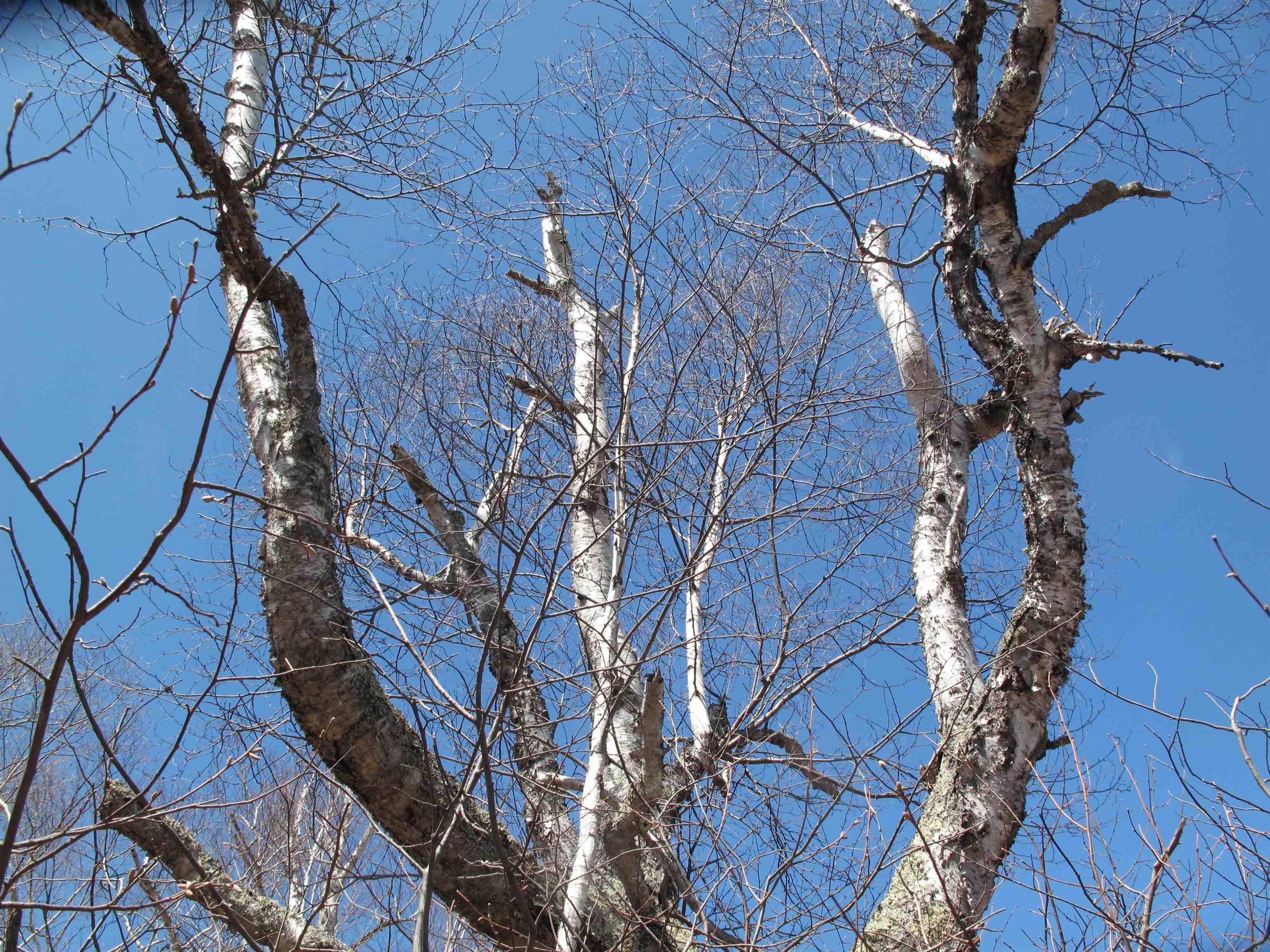 9223 Hwy 61 W Schroeder MN 55613 6119000 image37