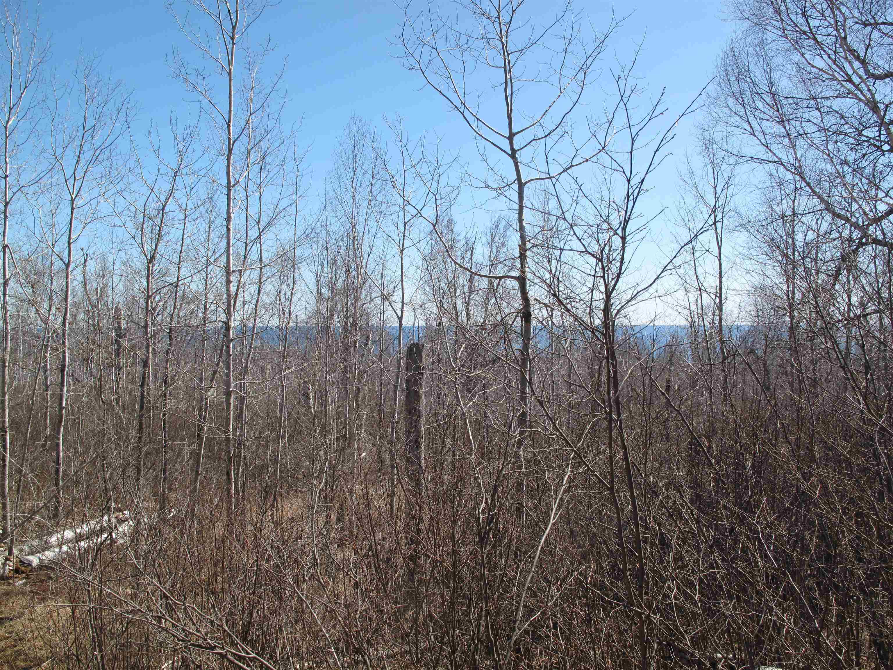 9223 Hwy 61 W Schroeder MN 55613 6119000 image38