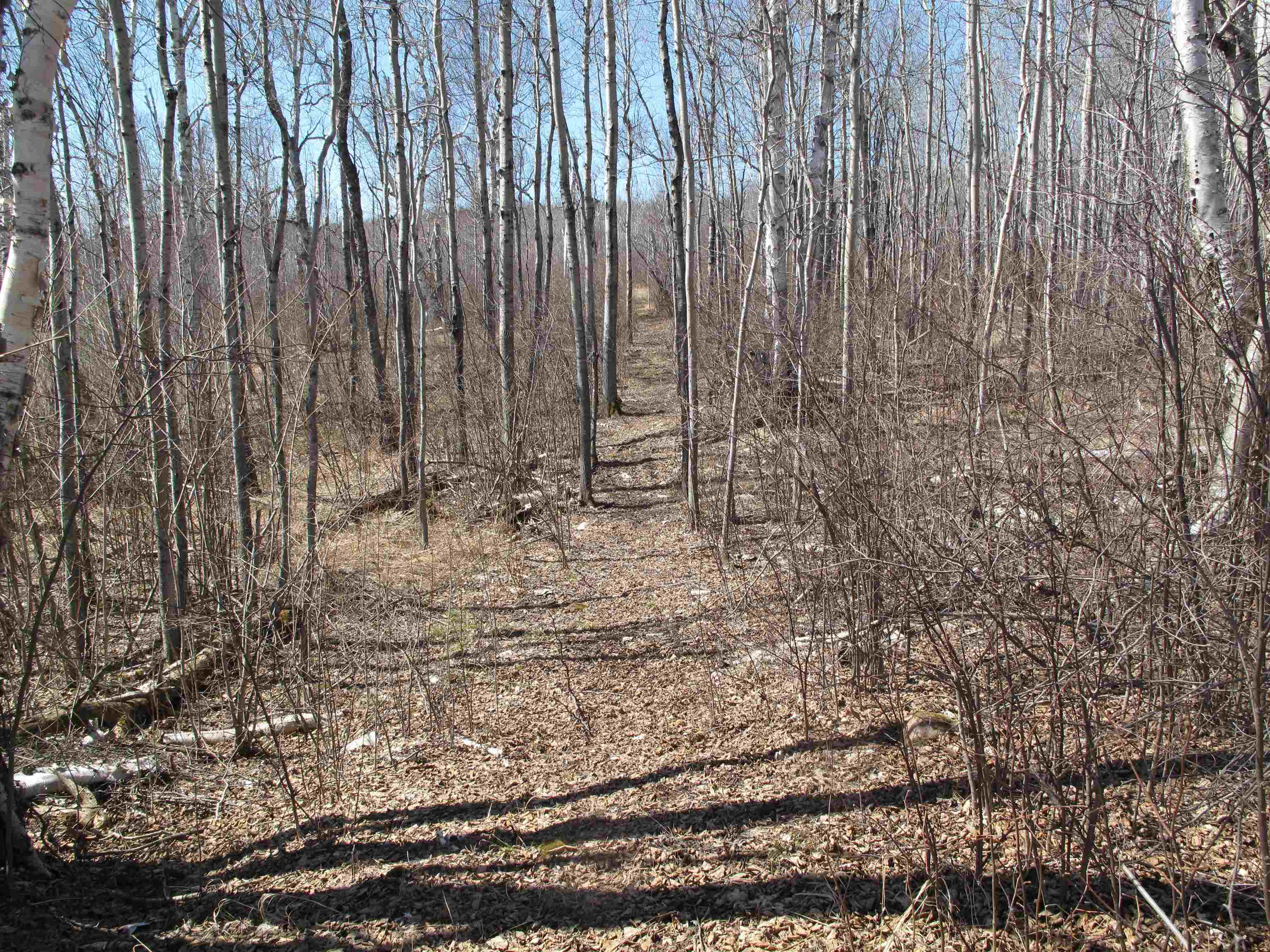 9223 Hwy 61 W Schroeder MN 55613 6119000 image39