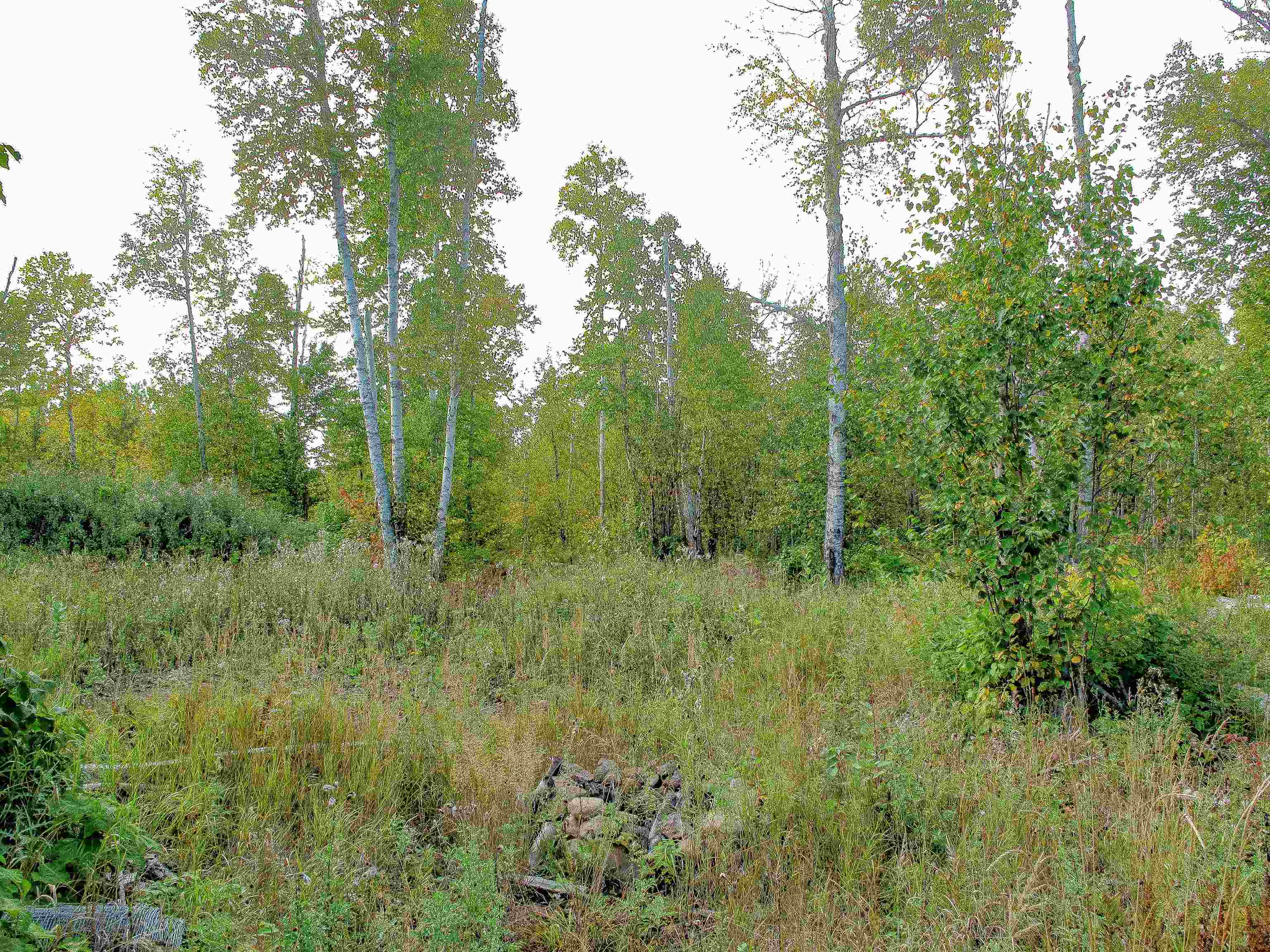 9223 Hwy 61 W Schroeder MN 55613 6119000 image4