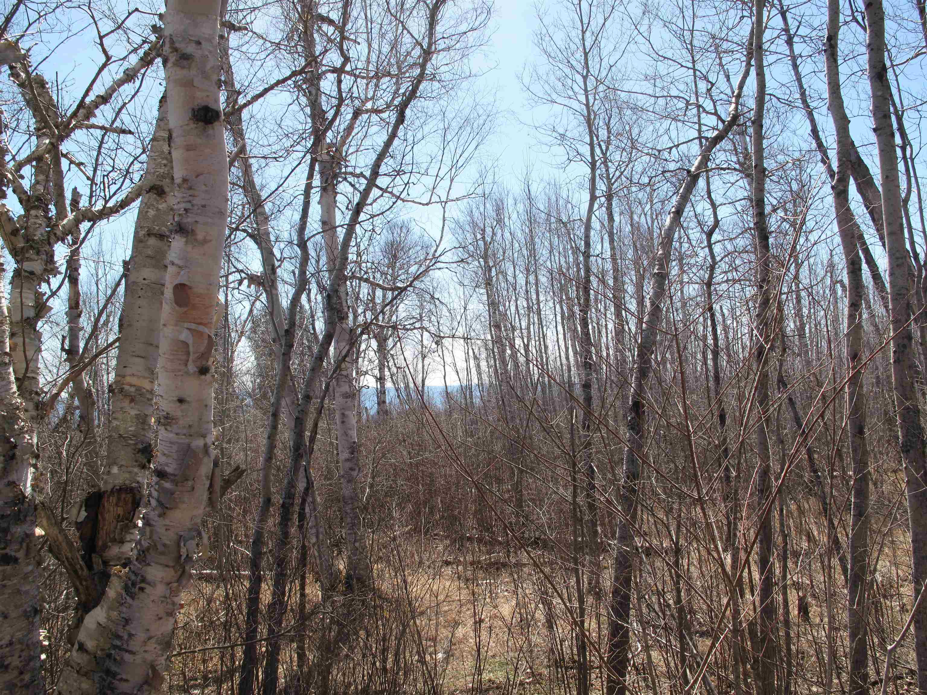 9223 Hwy 61 W Schroeder MN 55613 6119000 image40