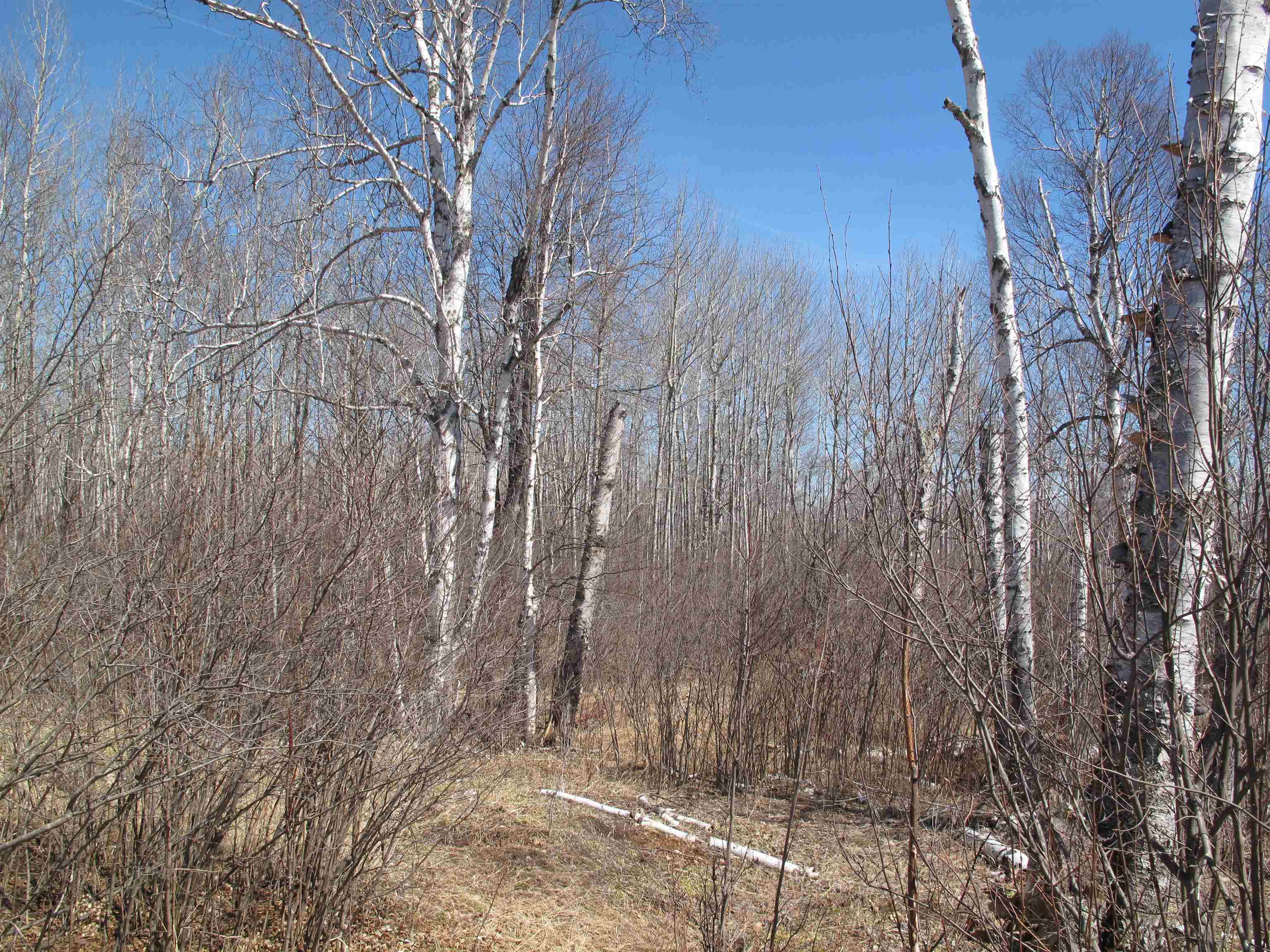 9223 Hwy 61 W Schroeder MN 55613 6119000 image42